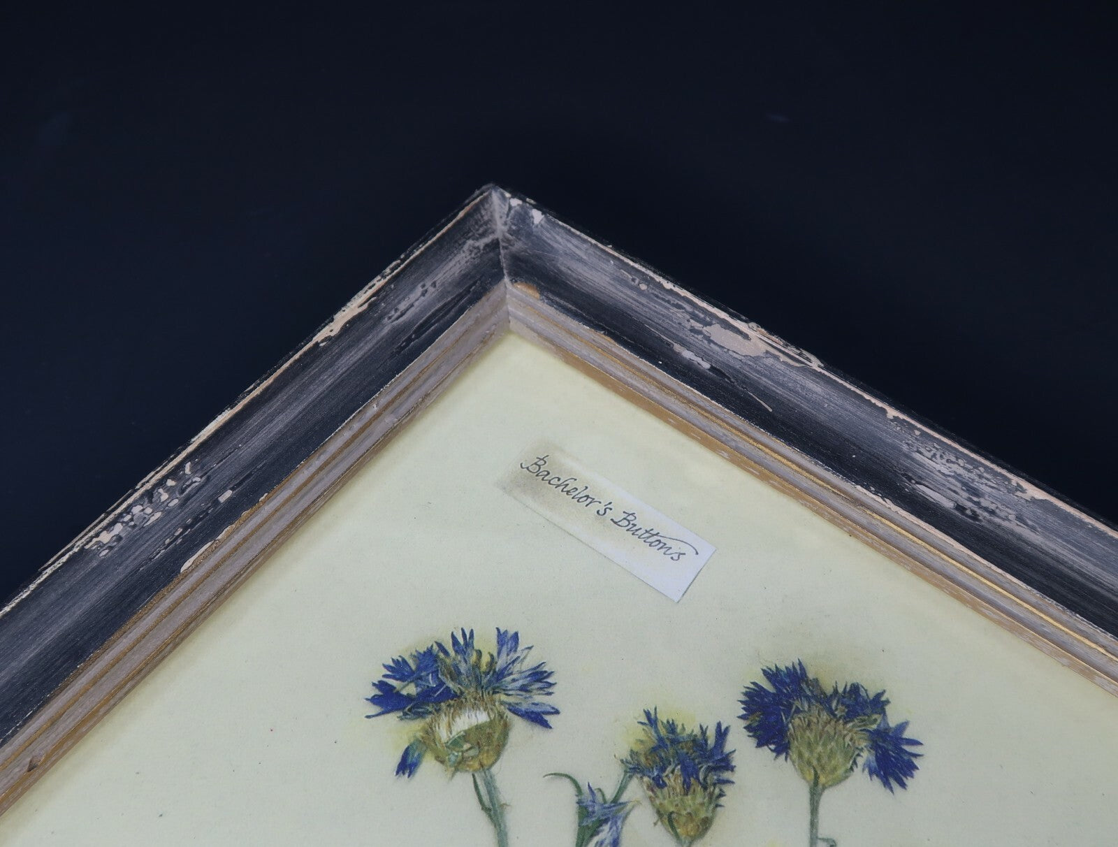 Shabby Chic Wall Art 9.5" x 9.5"