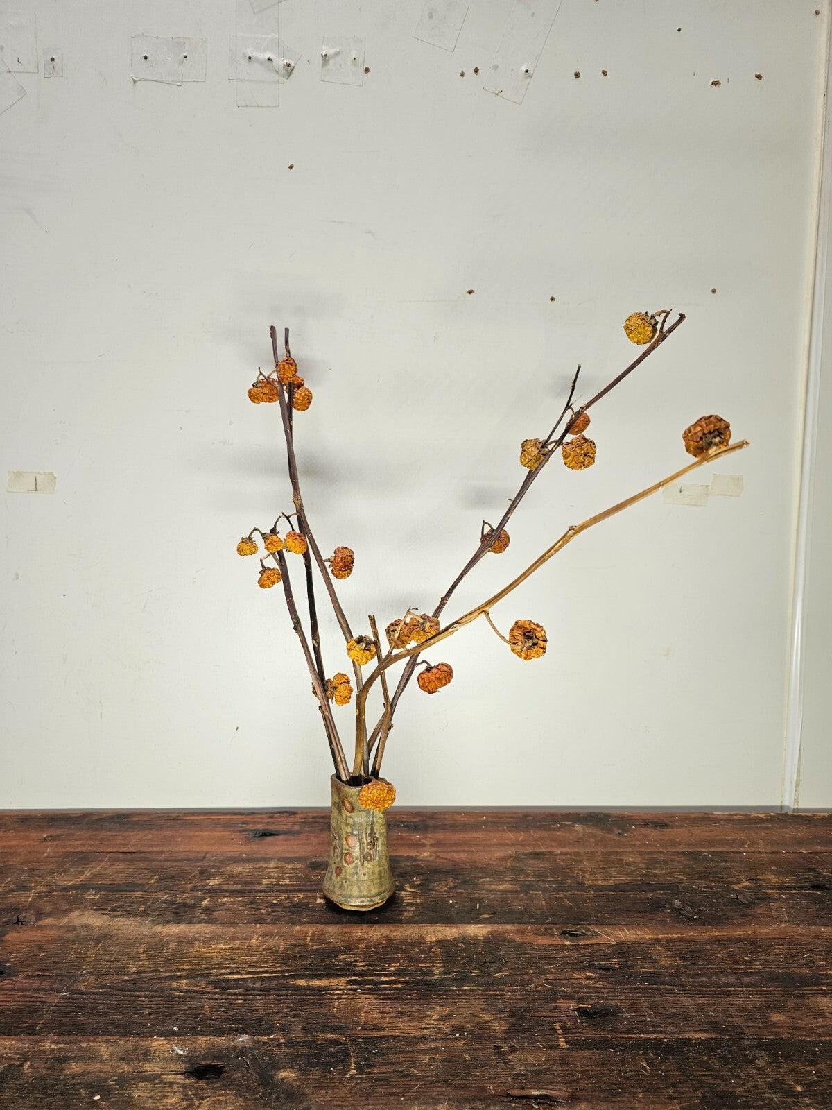 Dried Pumpkins On Sticks In A Singed Vase Asian Style Decoration
