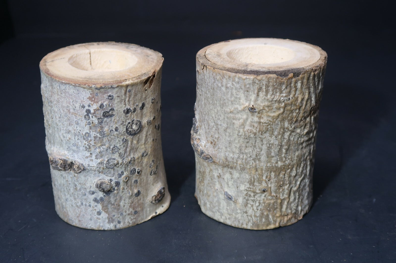 Set of 2 Birch Tree Candle Holders