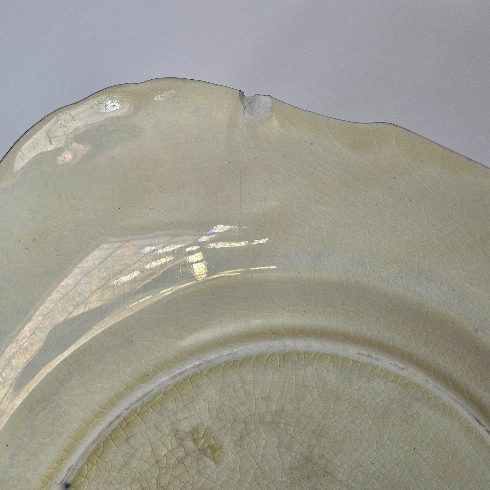 Ridgewood Royal Cauldon England Est 1774 Square Floral Ivory Dinner Plate 8 1/2"
