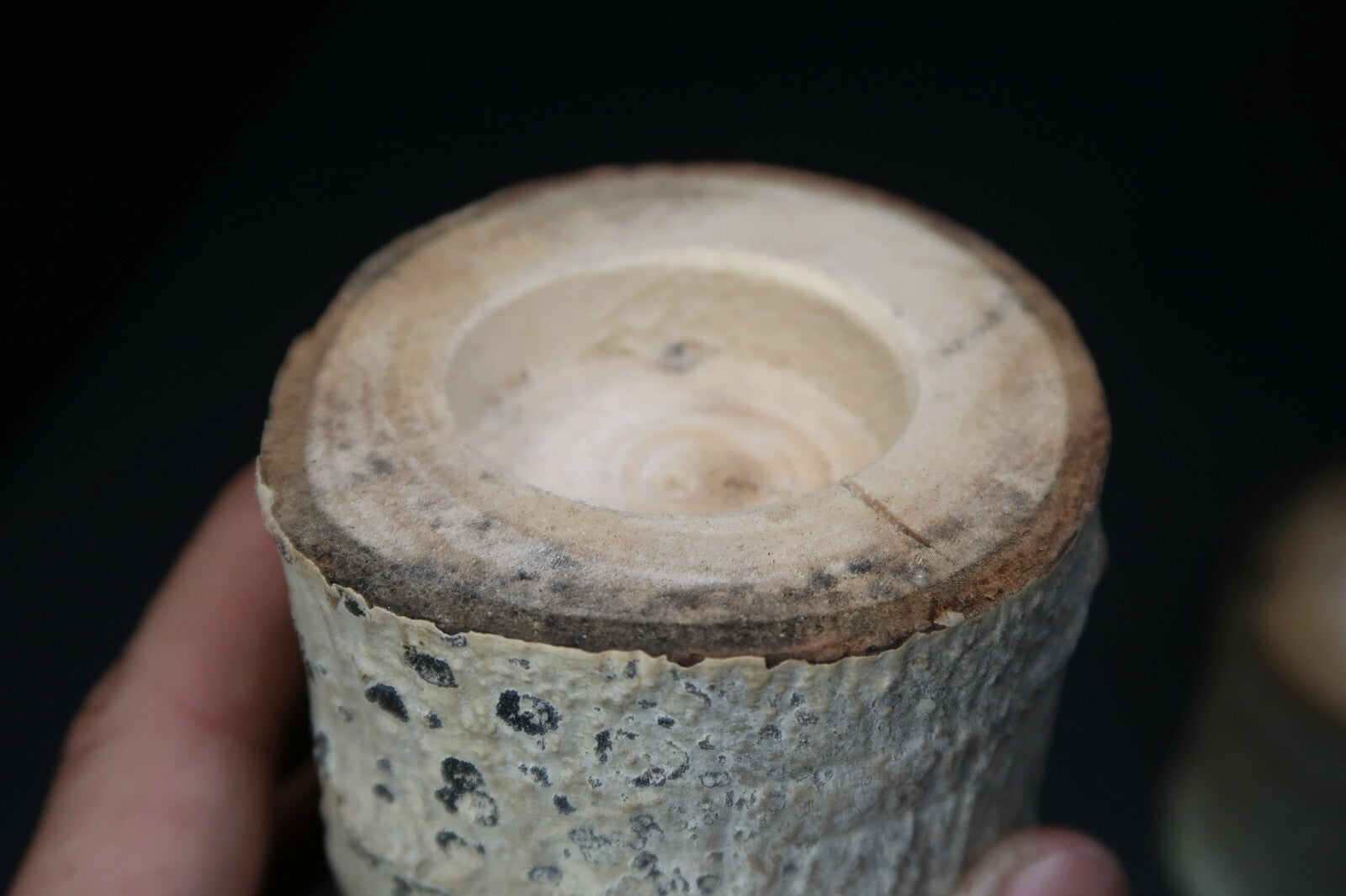 Set of 2 Birch Tree Candle Holders