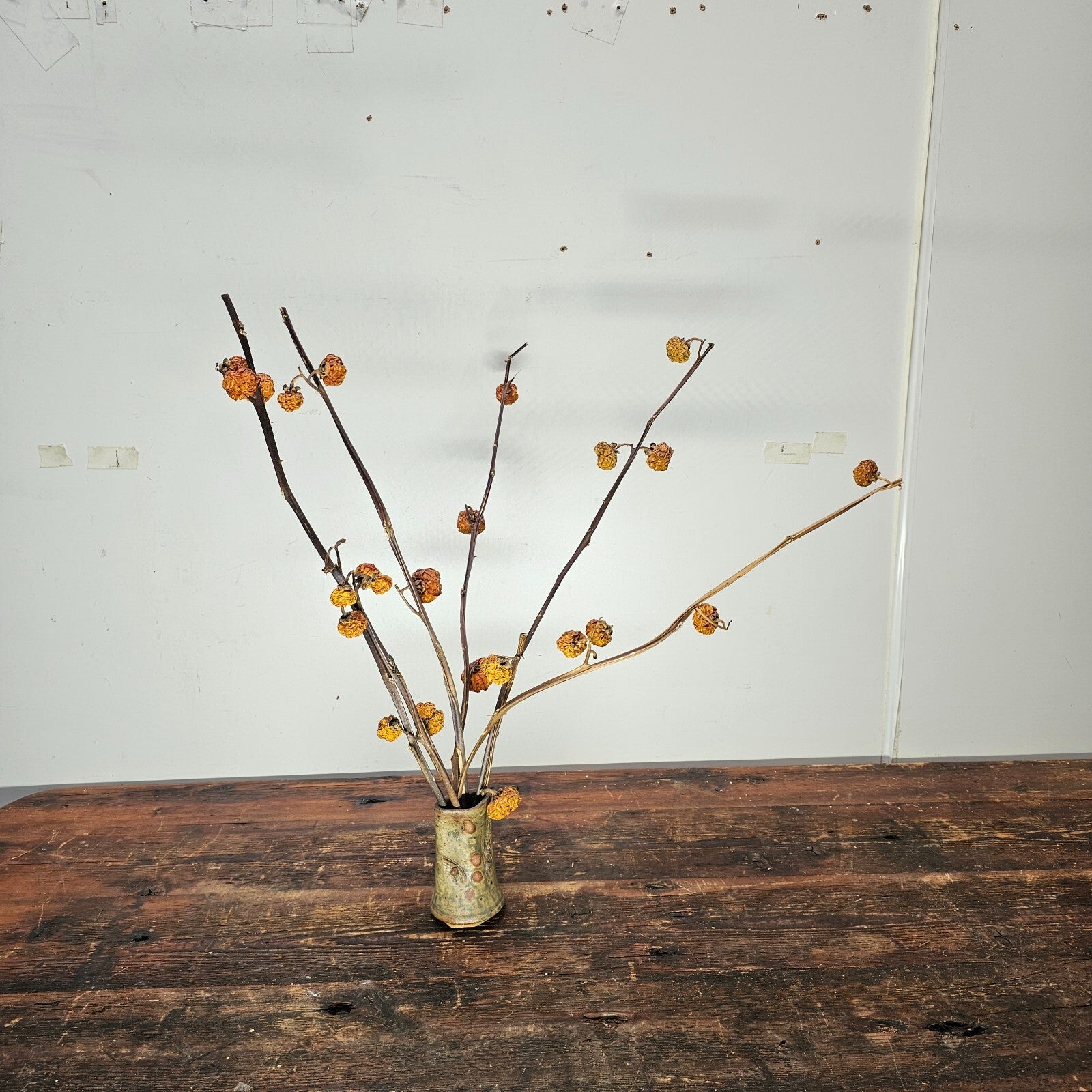 Dried Pumpkins On Sticks In A Singed Vase Asian Style Decoration