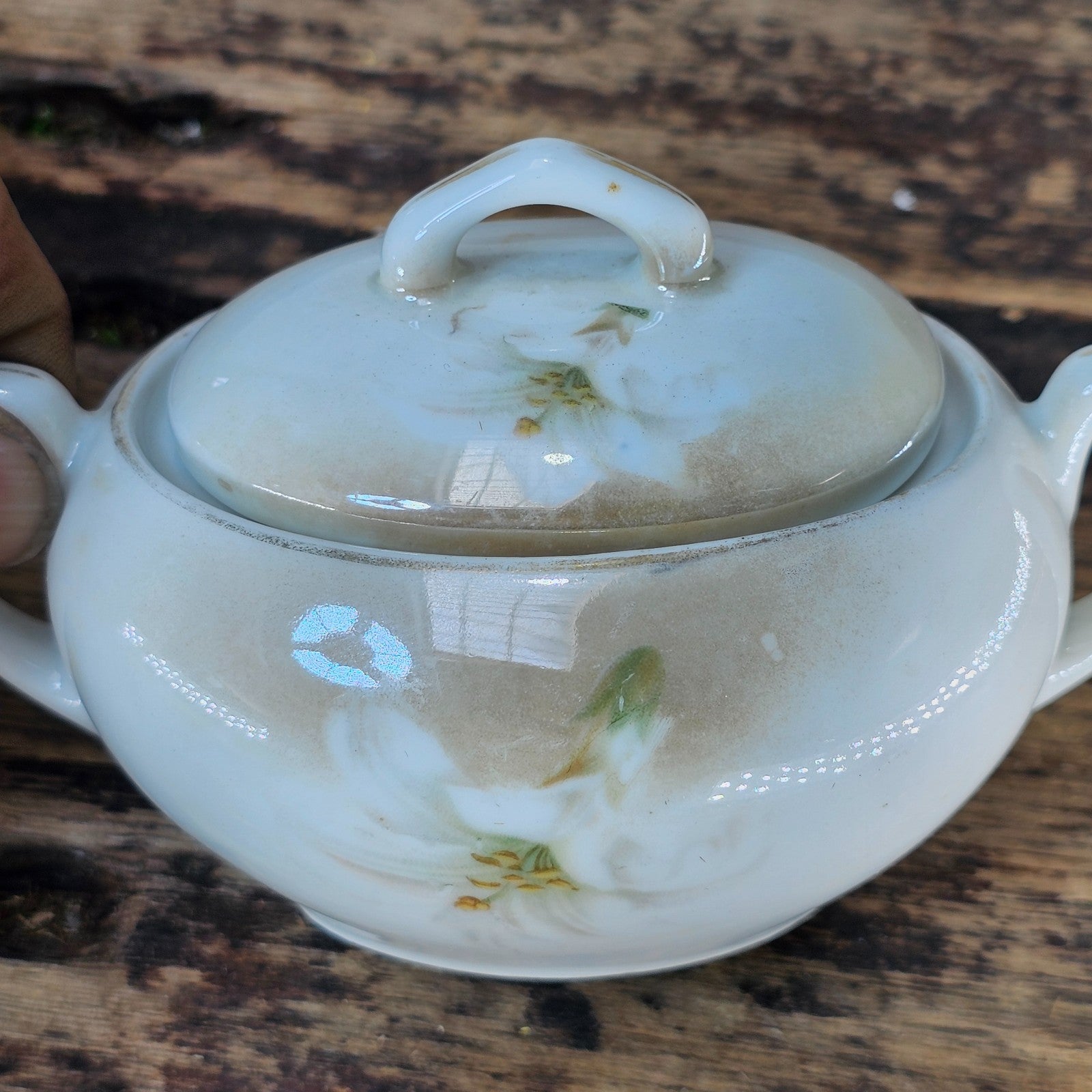 Antique RS Germany Creamer & Sugar Bowl Set - White Lilies, c. 1910s-20s