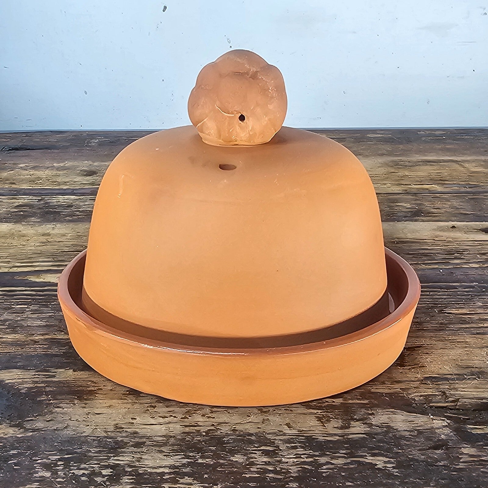 Terra Cotta Garlic Onion Oven Bake Cooker Roaster 90s