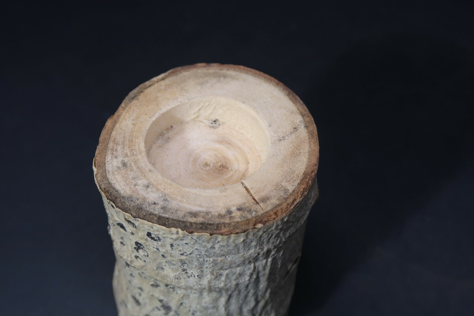 Set of 2 Birch Tree Candle Holders