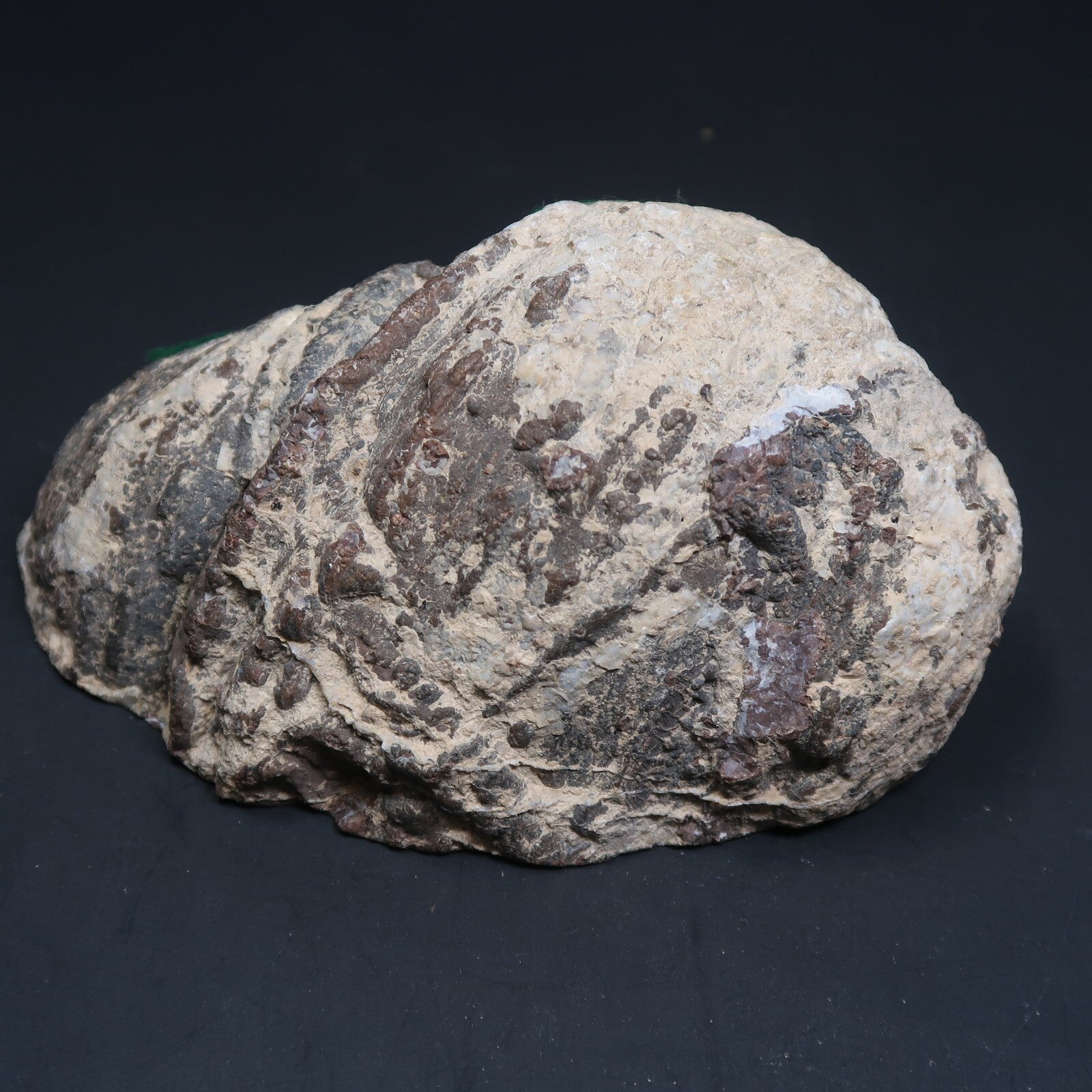 33.5oz. / 952g  Polished Natural Agate Geode (L 6" x H 4" x D 3")