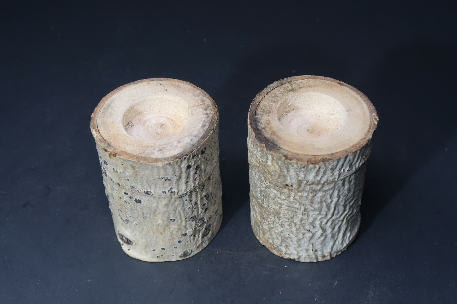 Set of 2 Birch Tree Candle Holders