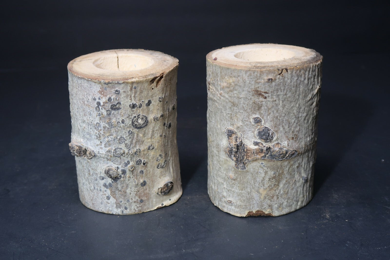 Set of 2 Birch Tree Candle Holders