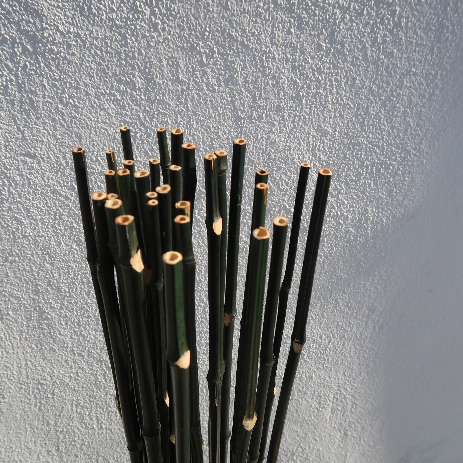Dried Bamboo Bundle with Square Stand Bamboo Stick Decor 7" x 7" x H 63"