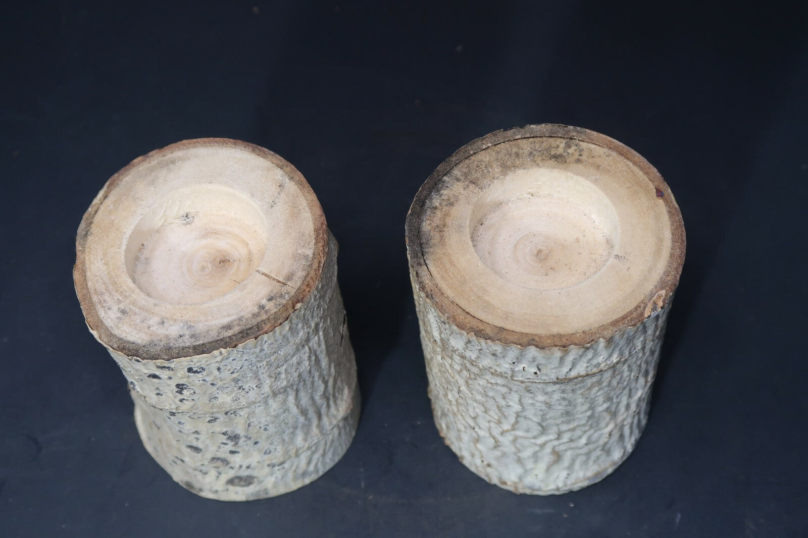 Set of 2 Birch Tree Candle Holders