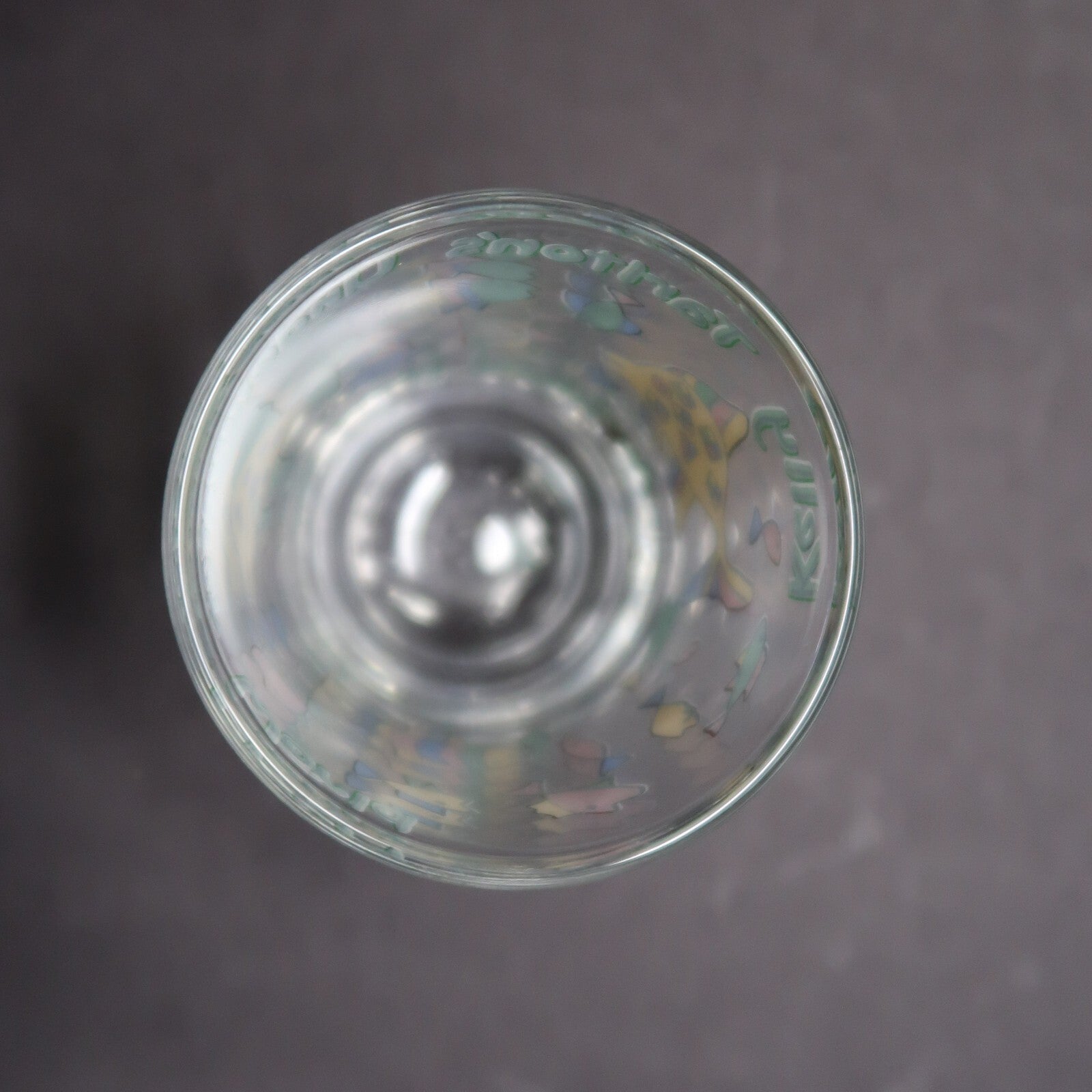 Kelly Tarlton's Aquarium New Zealand Souvenir Shot Glass H 2.3"