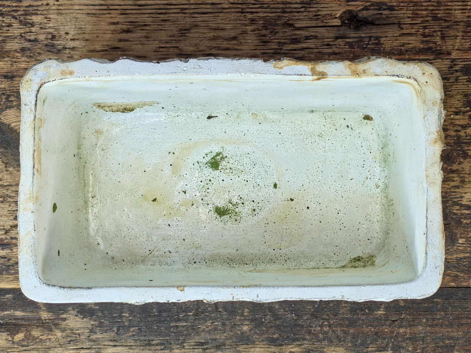Birch Bark Texture Cement Planter – Rustic White Rectangular Pot 8.5"