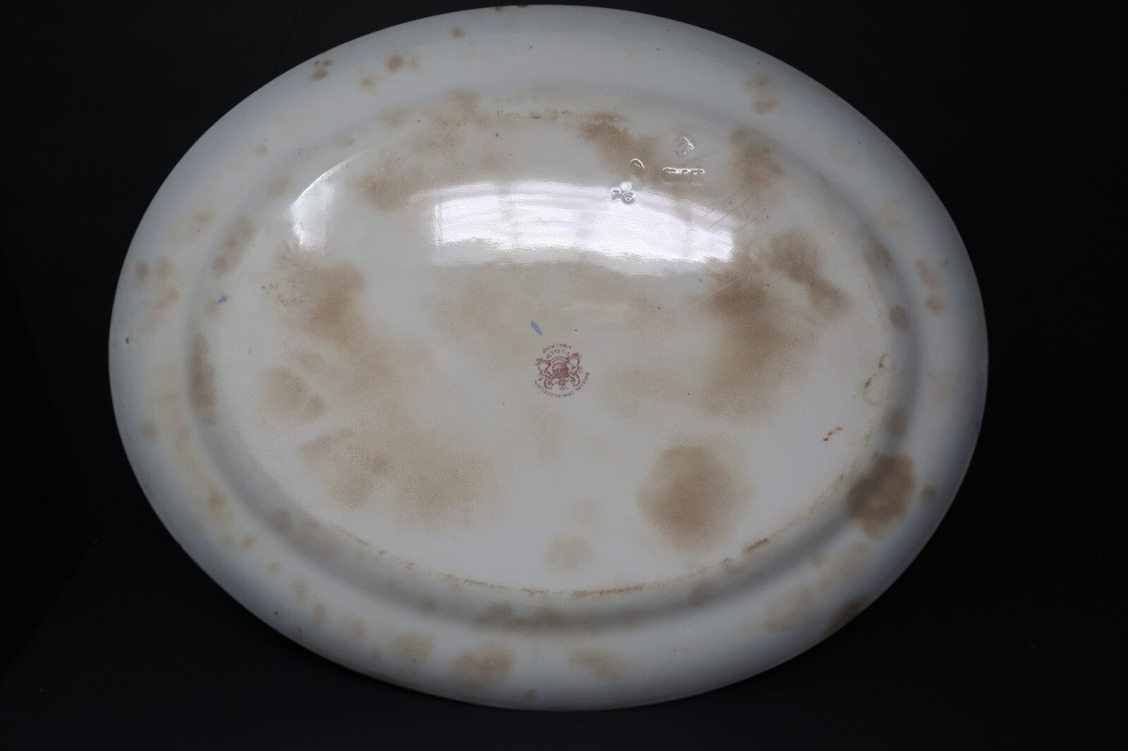 Antique Bristol Semi Porcelain England Serving Platter P&Co Ltd Rose 18" x 14.5"