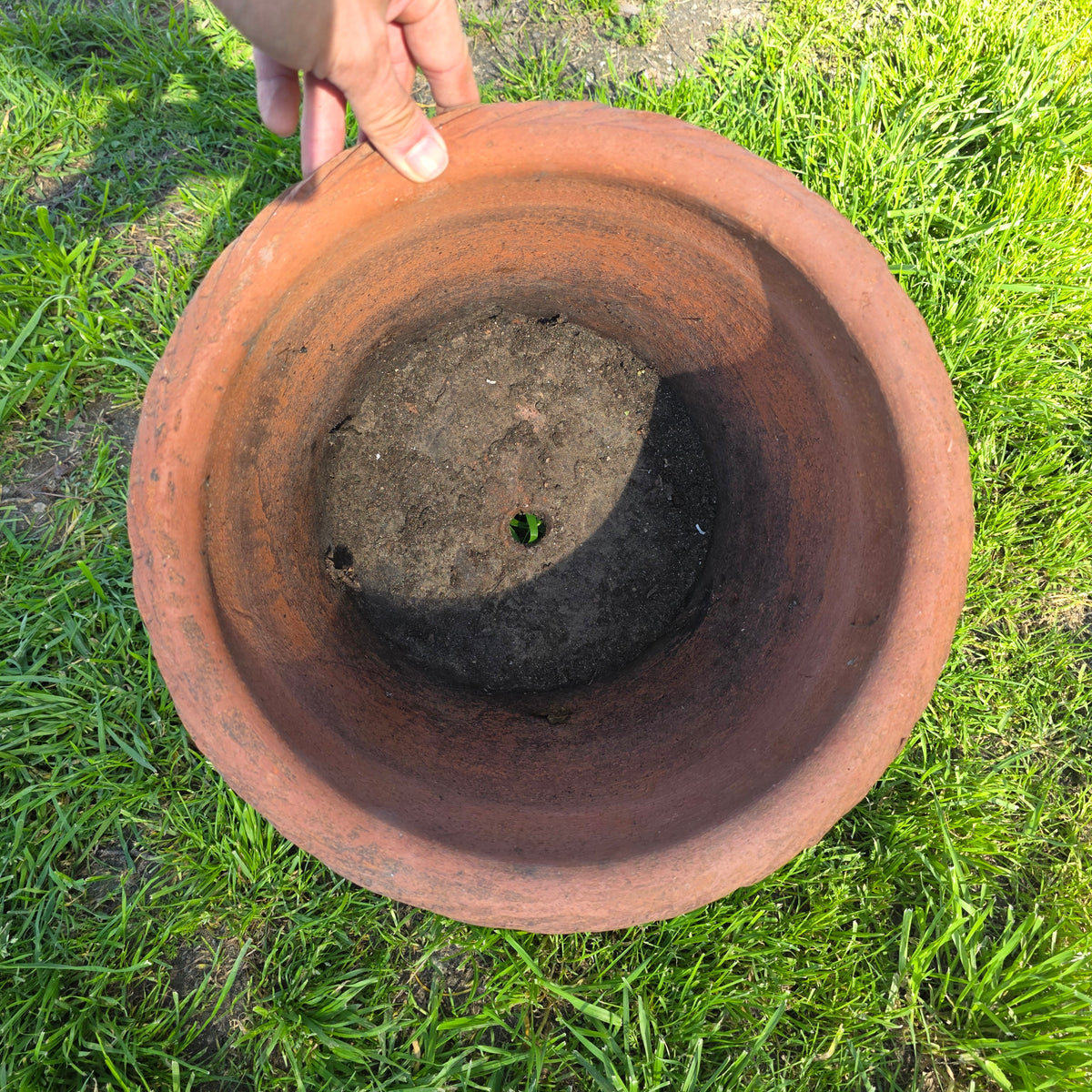 Vintage Large Terracotta Planter with Rope Edge & Relief Design - 14" Dia