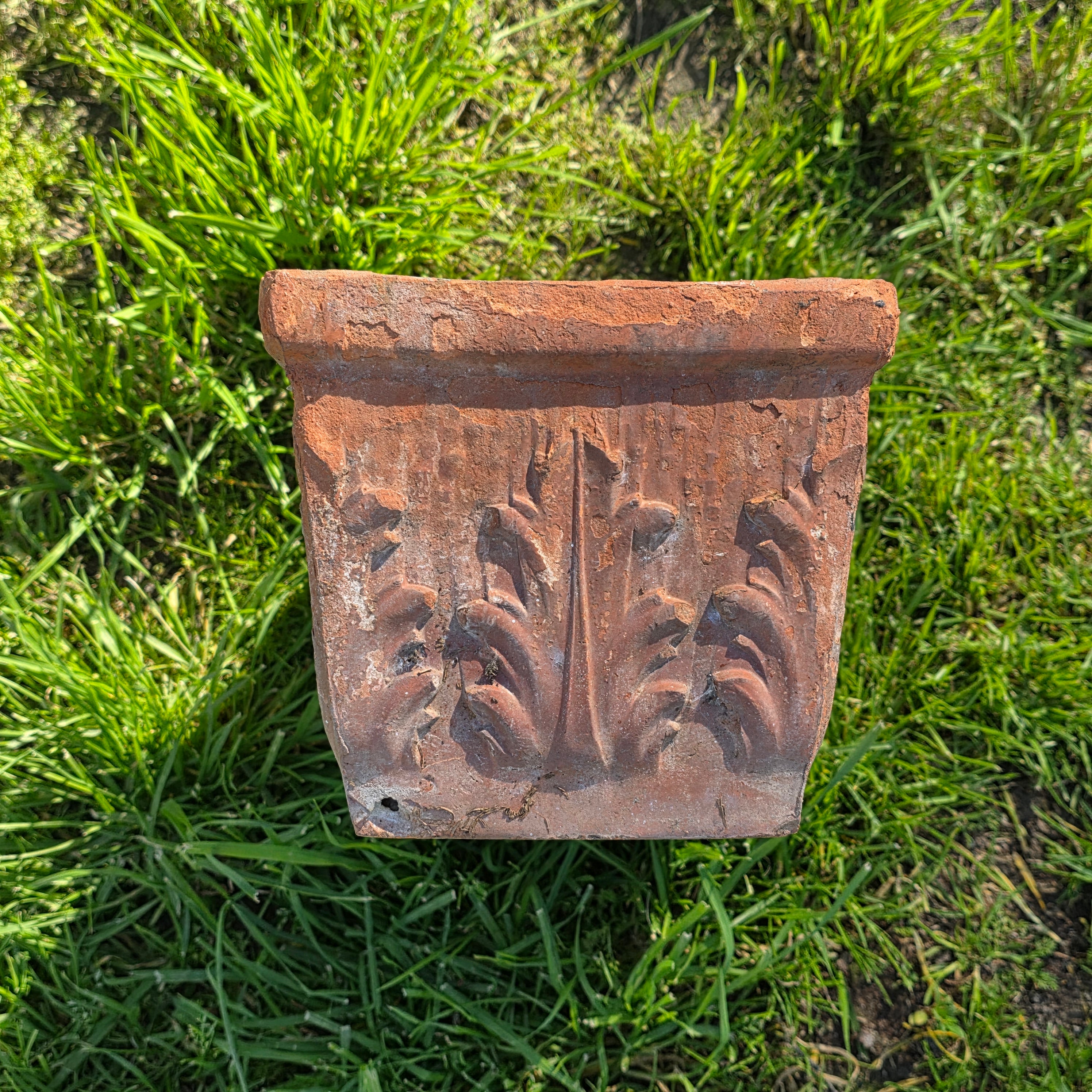 Italian Terracotta Rectangular Planter (Acanthus Relief) 14.5"L x 7"W x 6.5"H