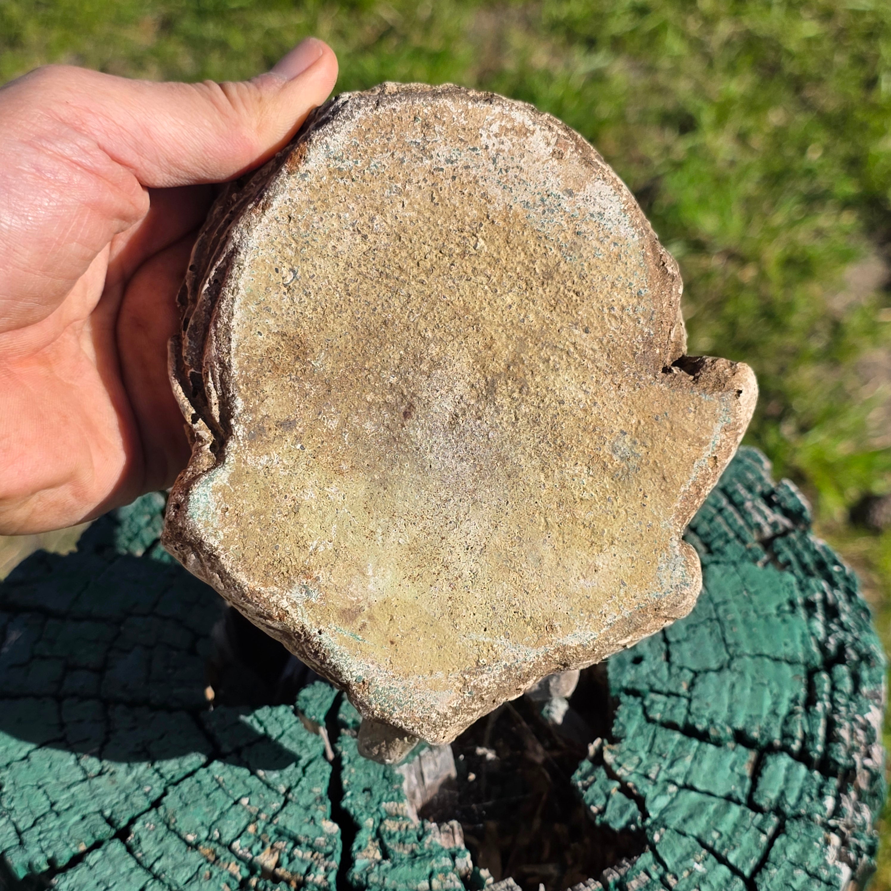 Vintage Concrete Garden Statue - Birds on Nest with Egg