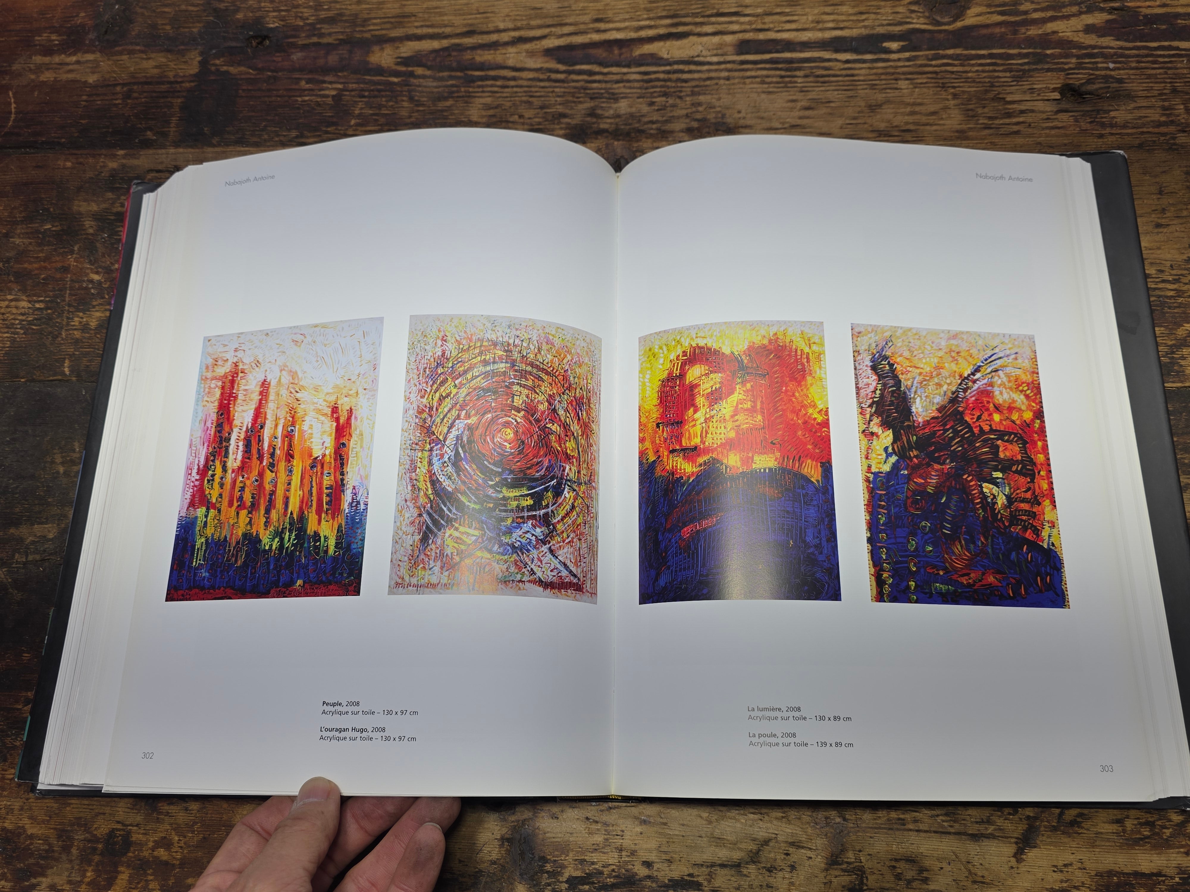 Anthologie de la Peinture en Guadeloupe 2009 Hardcover Art Book French Caribbean