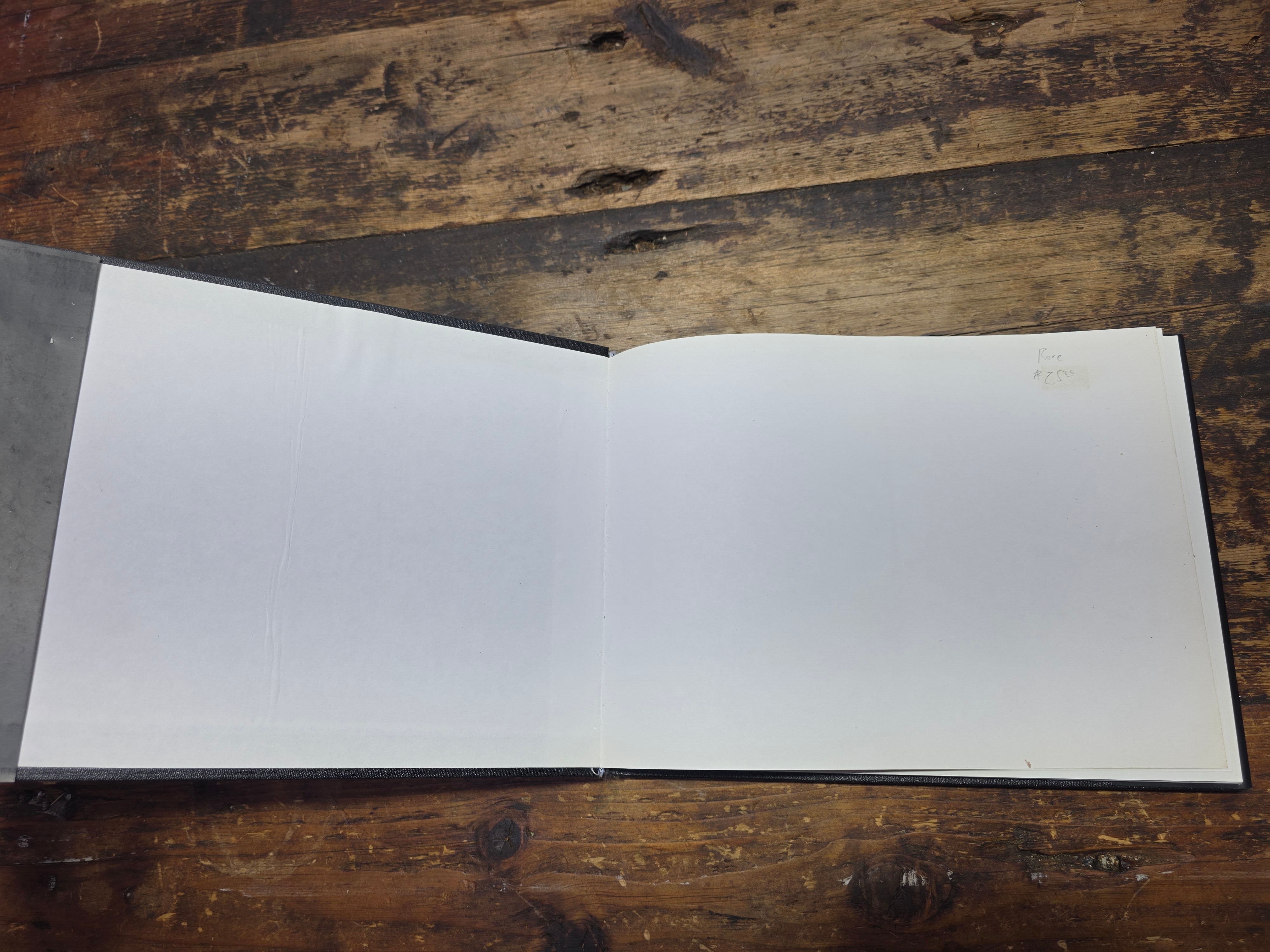 TABVLA RASA Pericles Lavat 2000 Rare Mexico Photography Art Book B&W