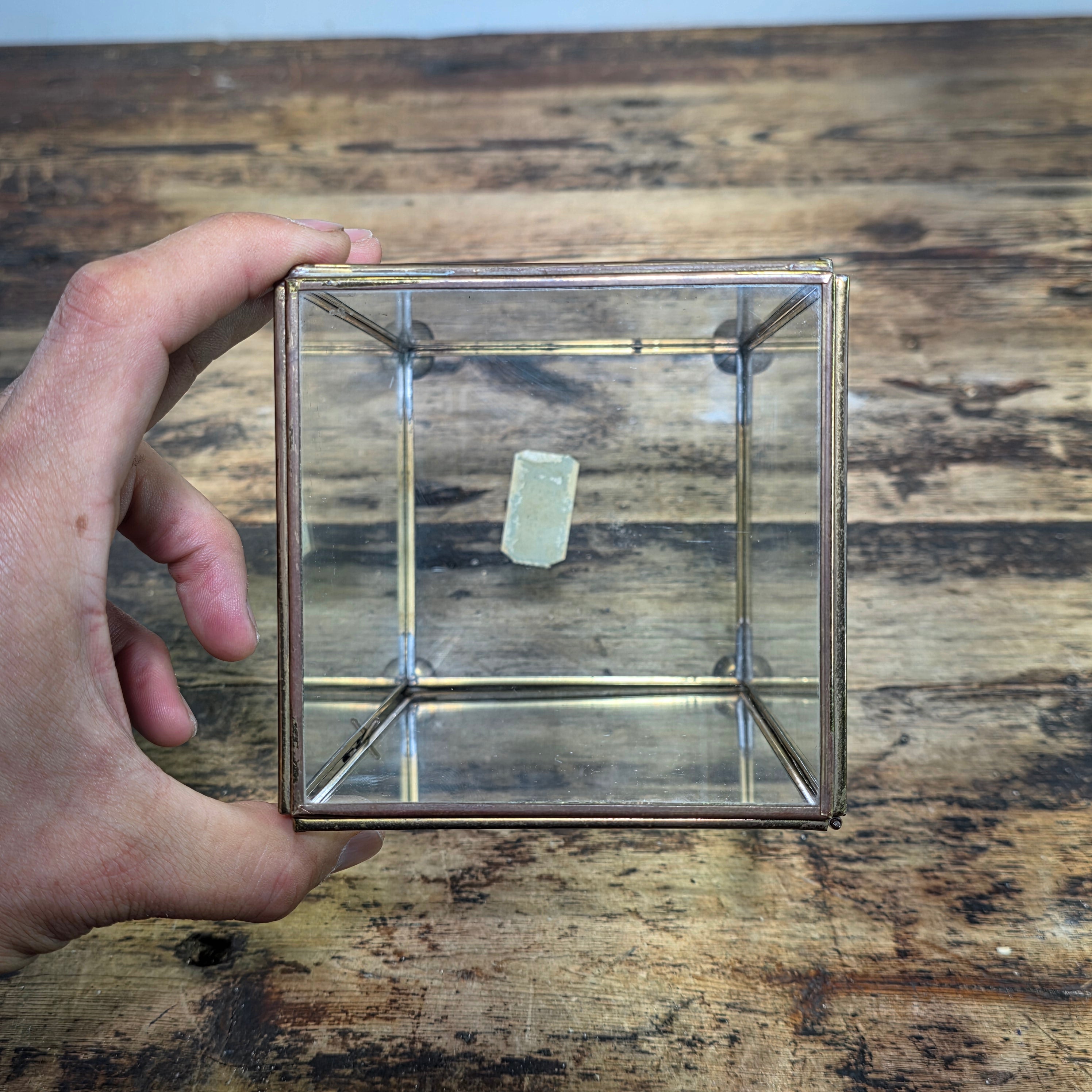 Vintage Marshall Field & Co Brass Glass Display Case Curio Box Terrarium AS-IS
