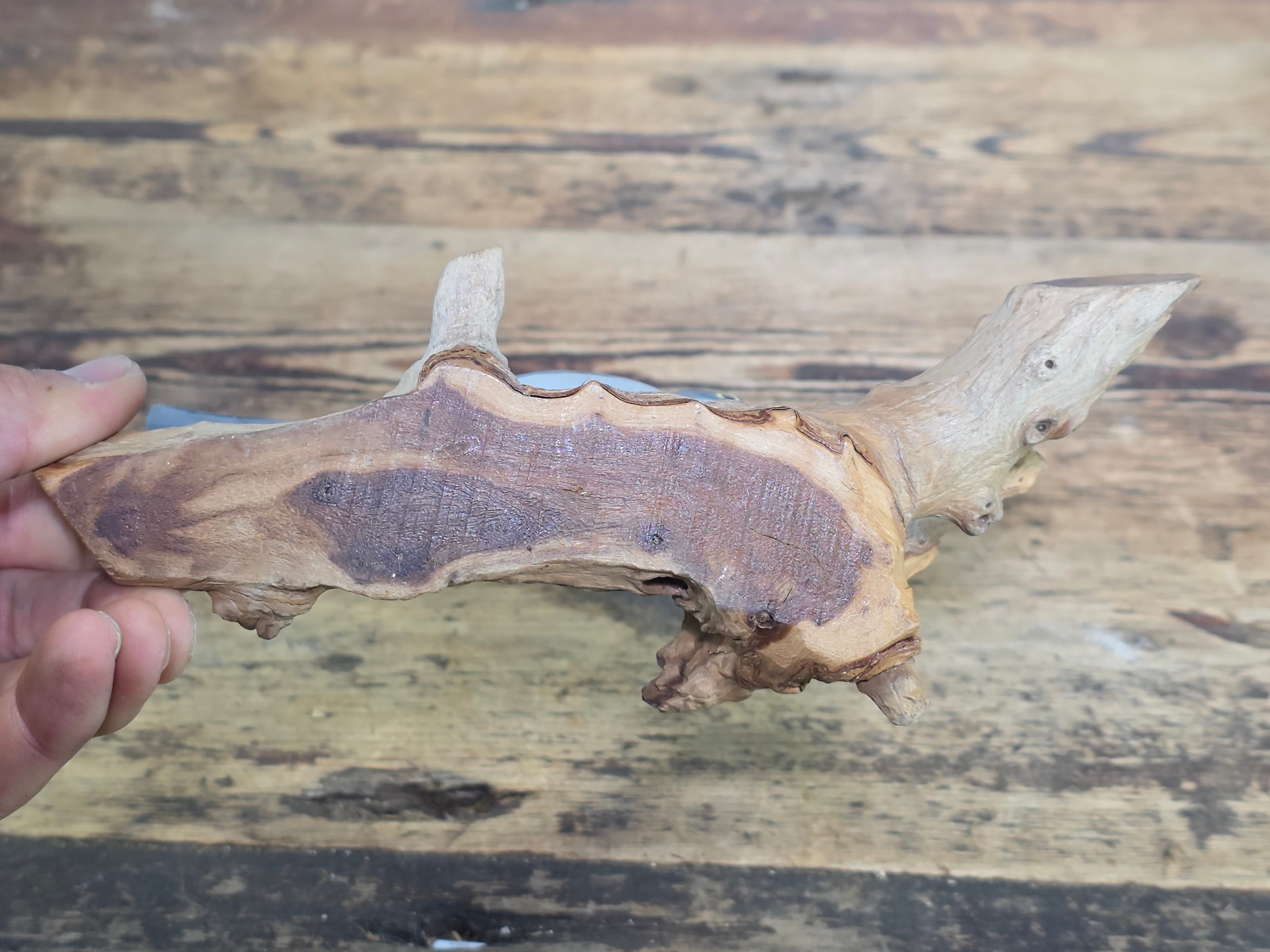 Vintage Hand Painted Wood Bird Decoy Northern Mockingbird Figurine on Driftwood