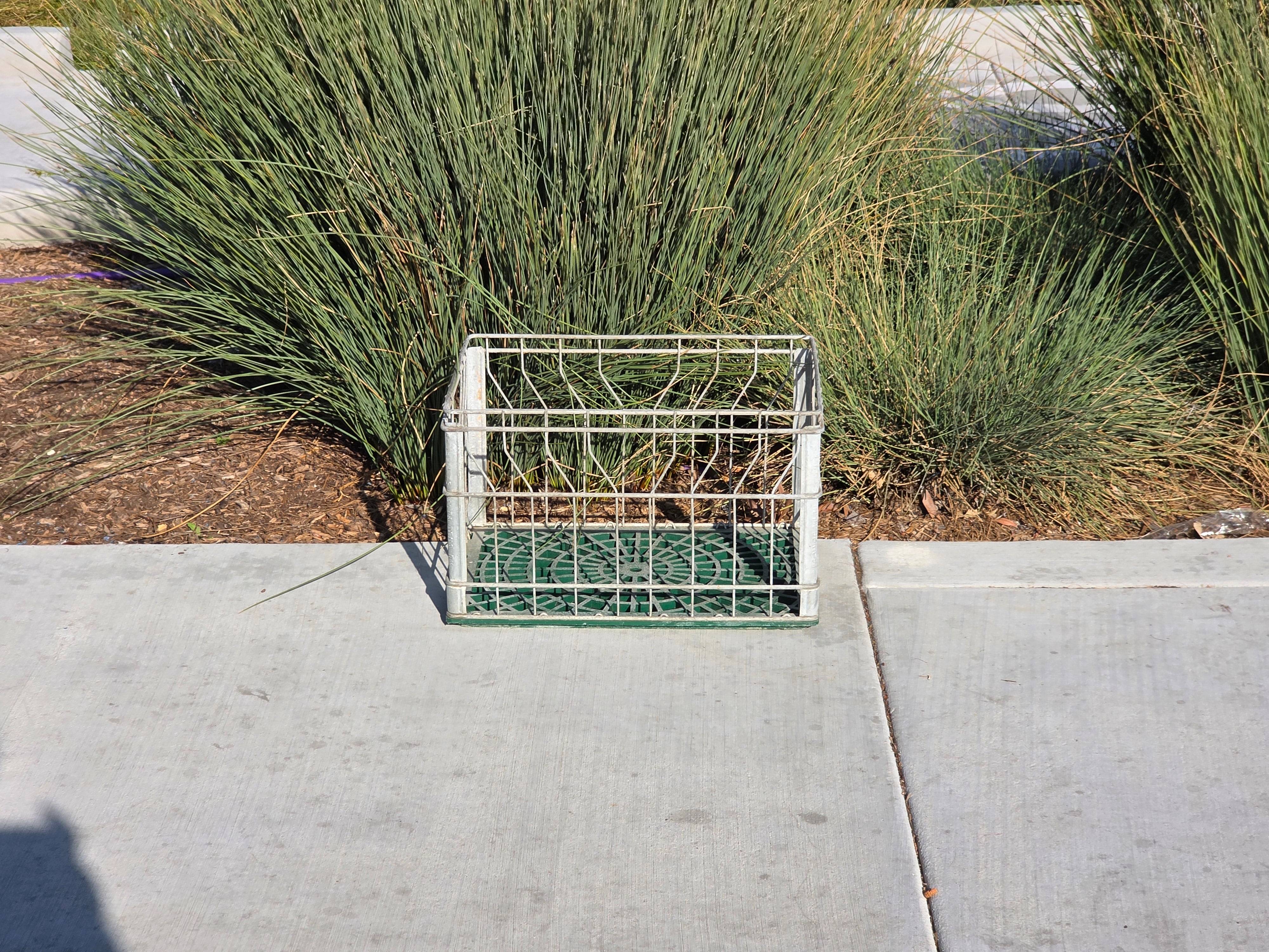 Vintage Alta-Dena Dairy Milk Crate 1975 Metal Wire Green Plastic Base Industrial
