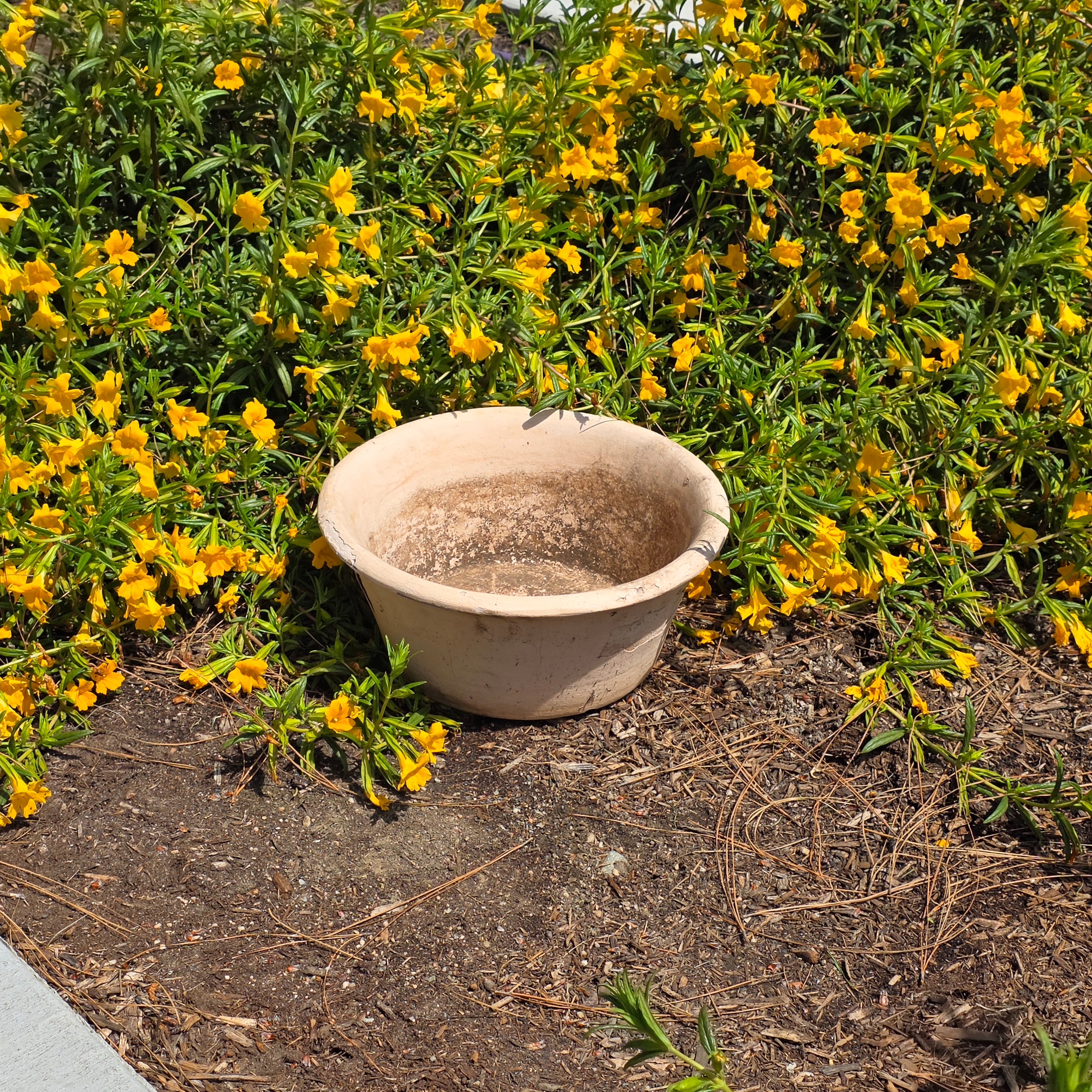 Huge Vintage Italian Garden Planter Pot Bowl 14" Heavy Aged Patina Made in Italy