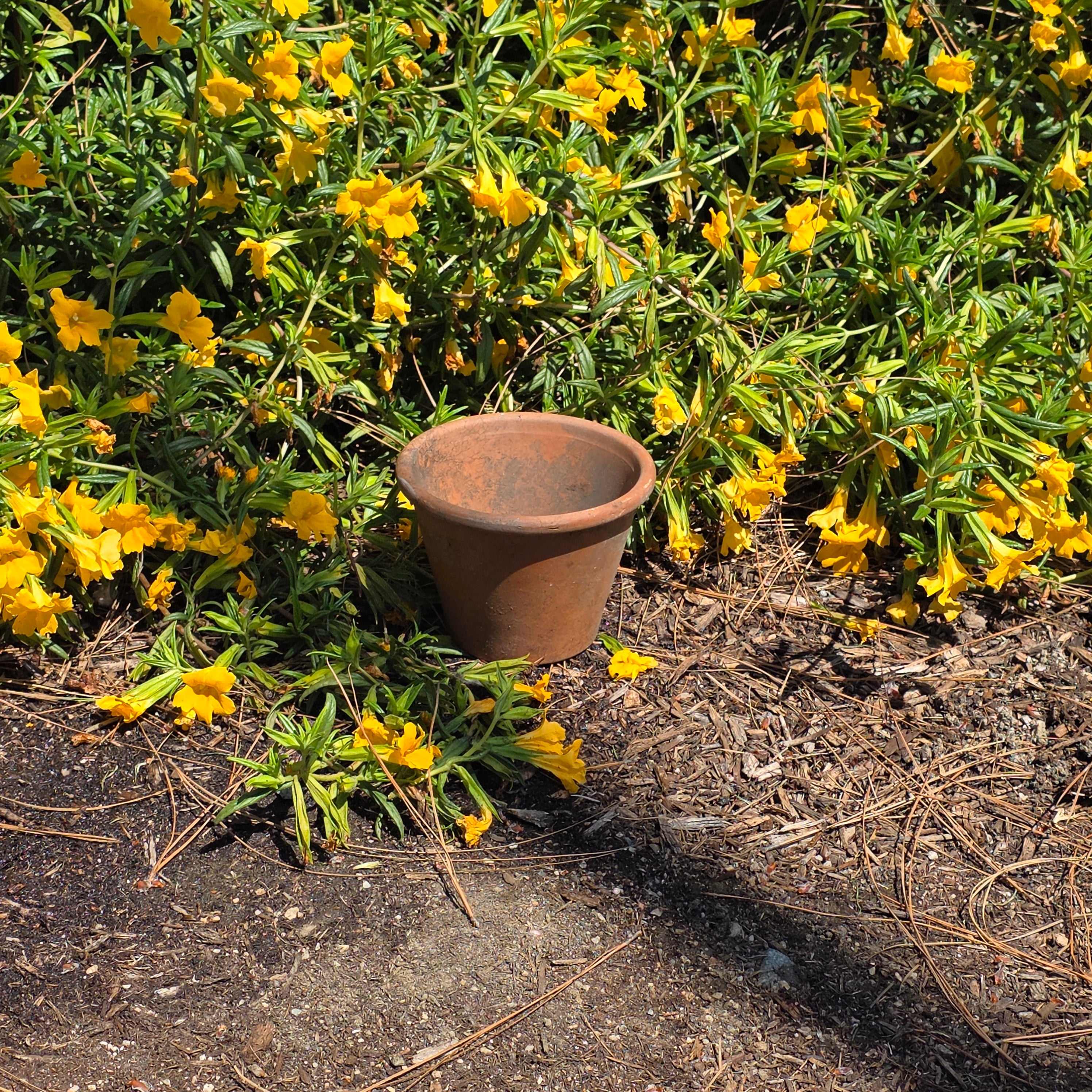 Vintage Deroma Italy Terracotta Planter Pot 6" Aged Patina Garden Italian Clay