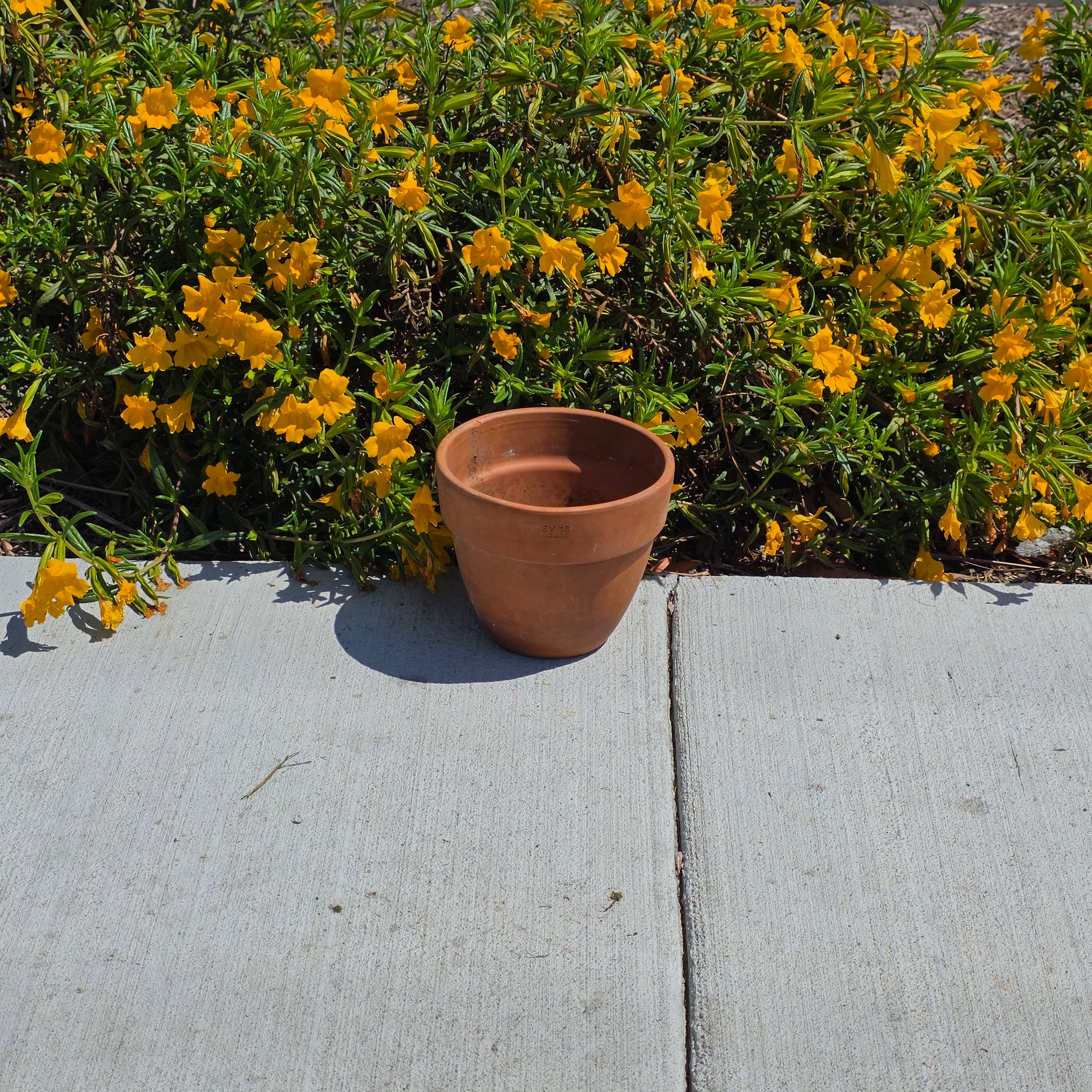 Vintage Italian Terracotta Planter Pot EV 16 Made in Italy 6.5" Aged Patina