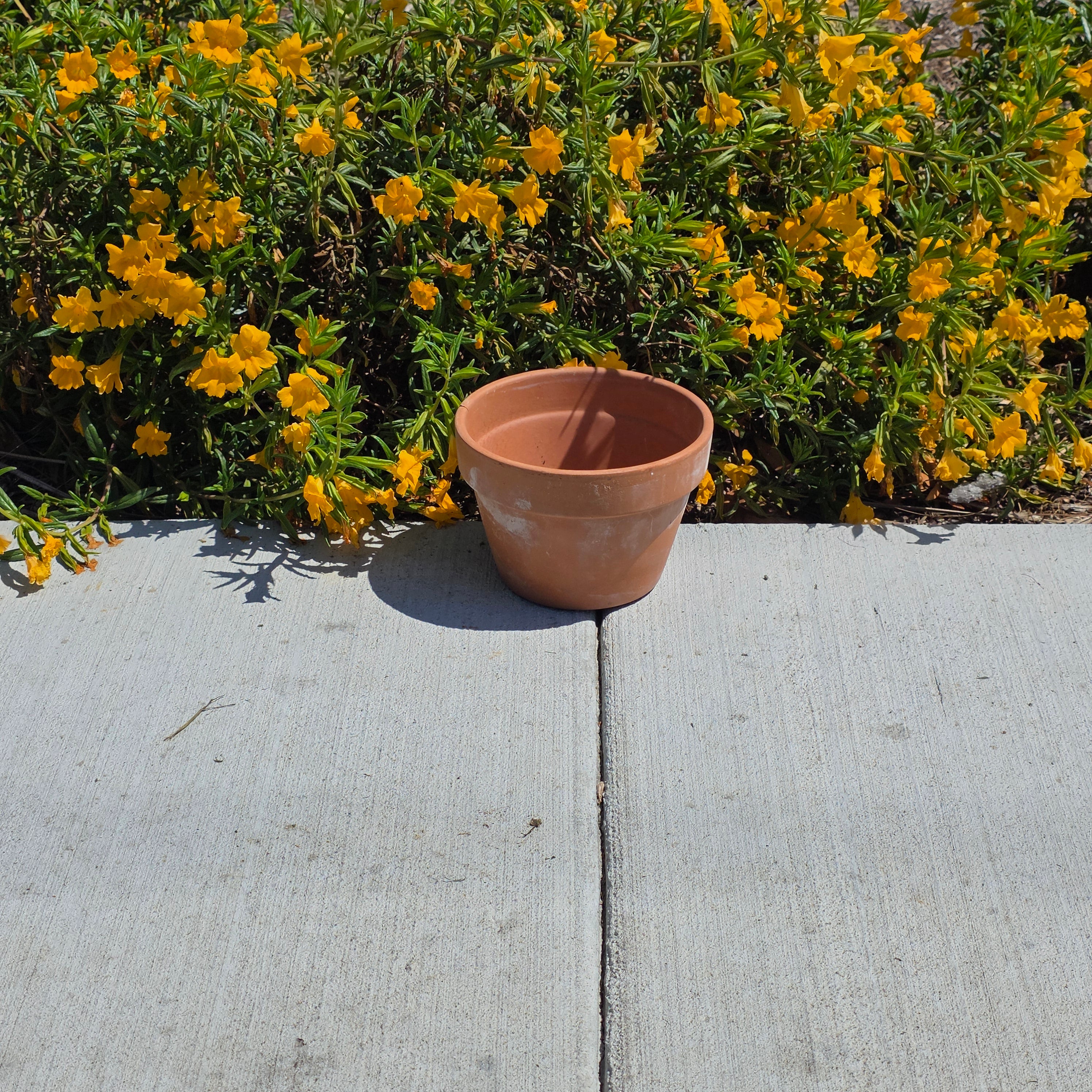 Vintage Italian Terracotta Azalea Pot Mezzo Vaso 7" Made in Italy Planter Garden
