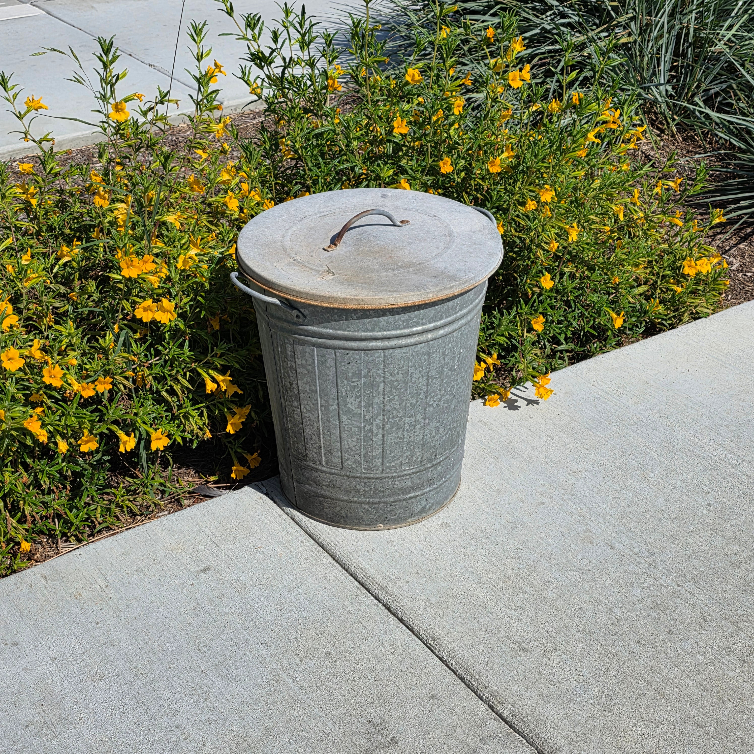 Vintage Galvanized Steel Ash Can with Lid 10 Gallon Rustic Fireplace Wood Storage