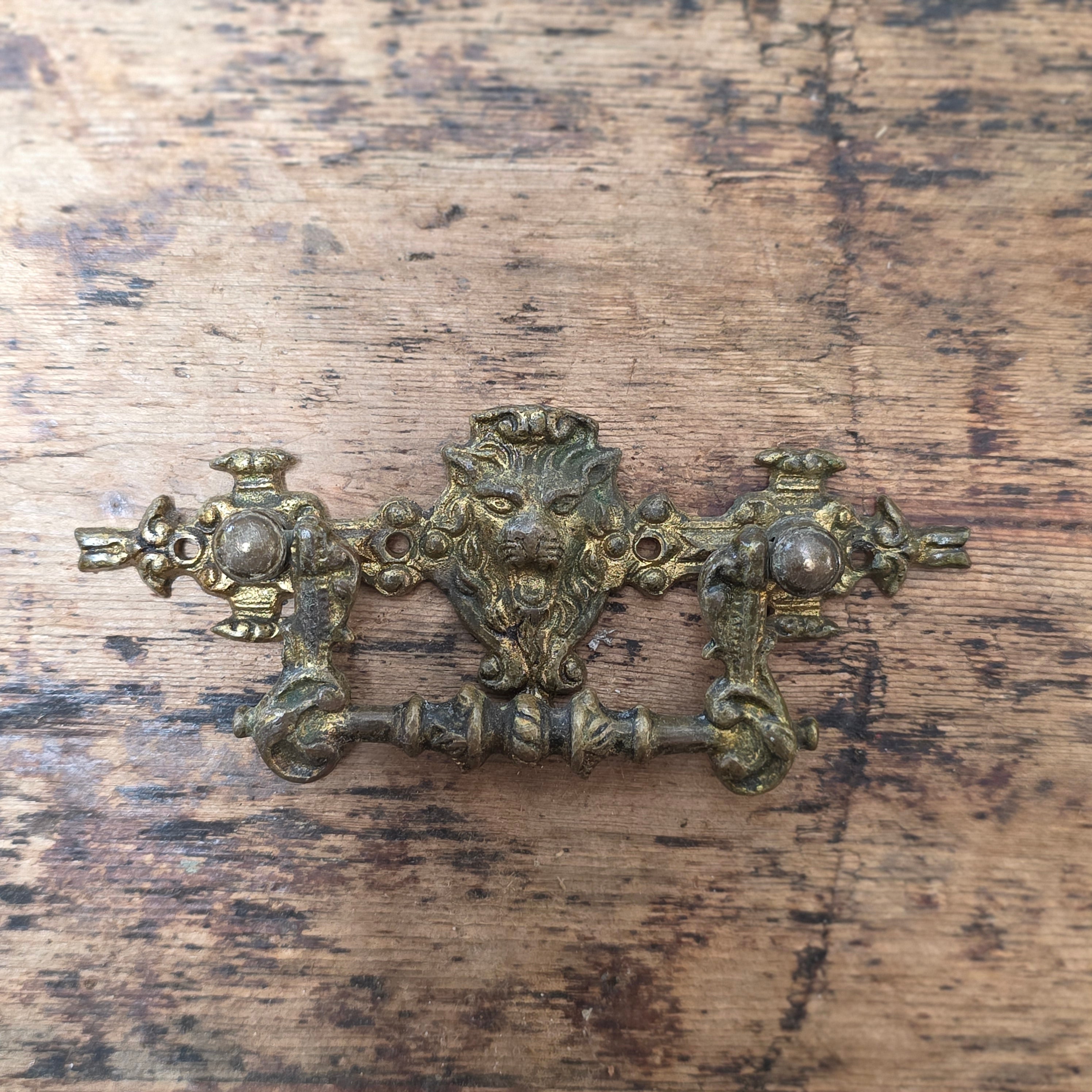 Vintage Brass Lion Head Bail Pull Drawer Handle Knob Mid Century Hardware