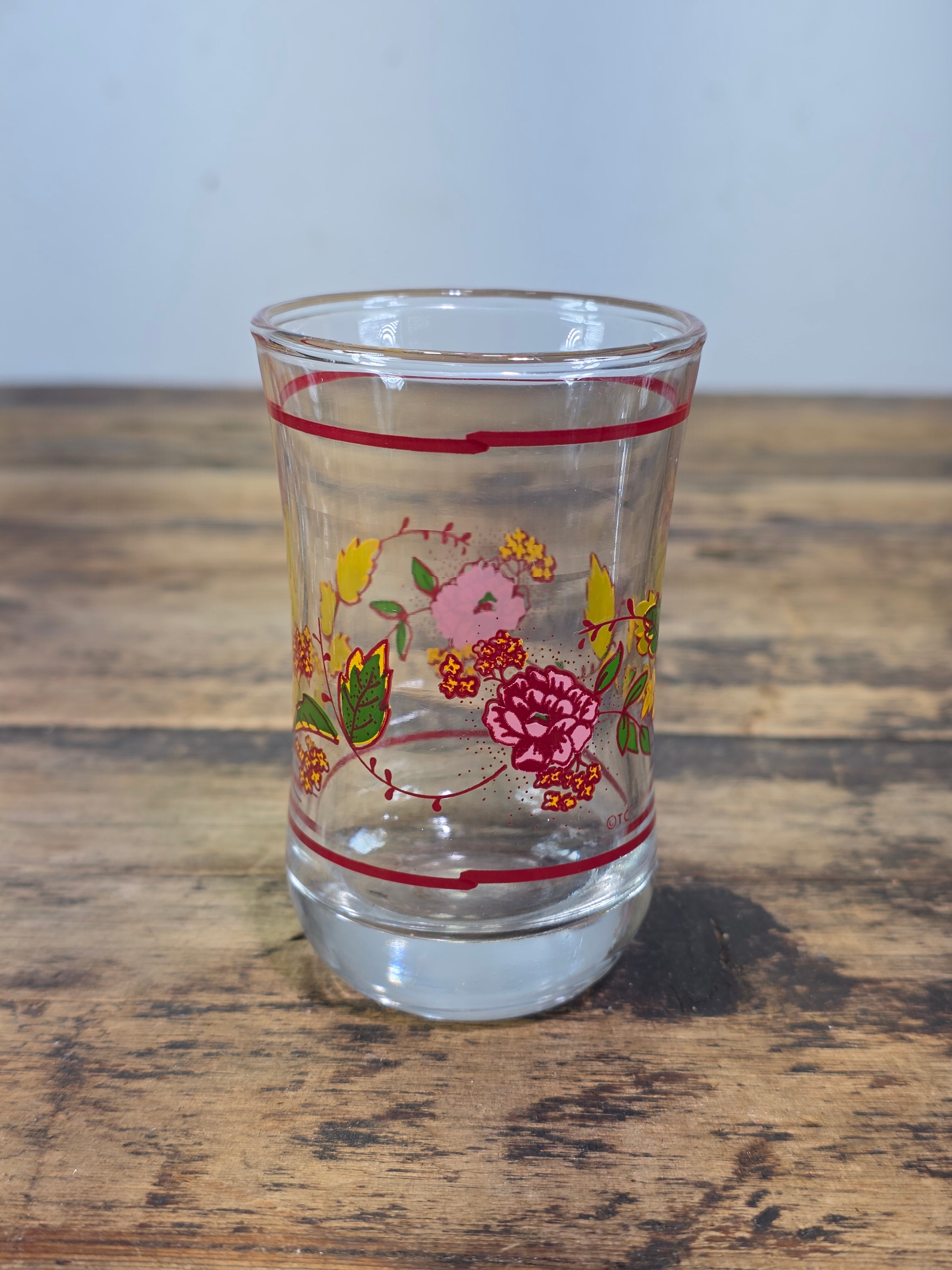 Vintage Anchor Hocking Juice Glasses Set of 6 Floral 5oz Clear Retro Boho TC
