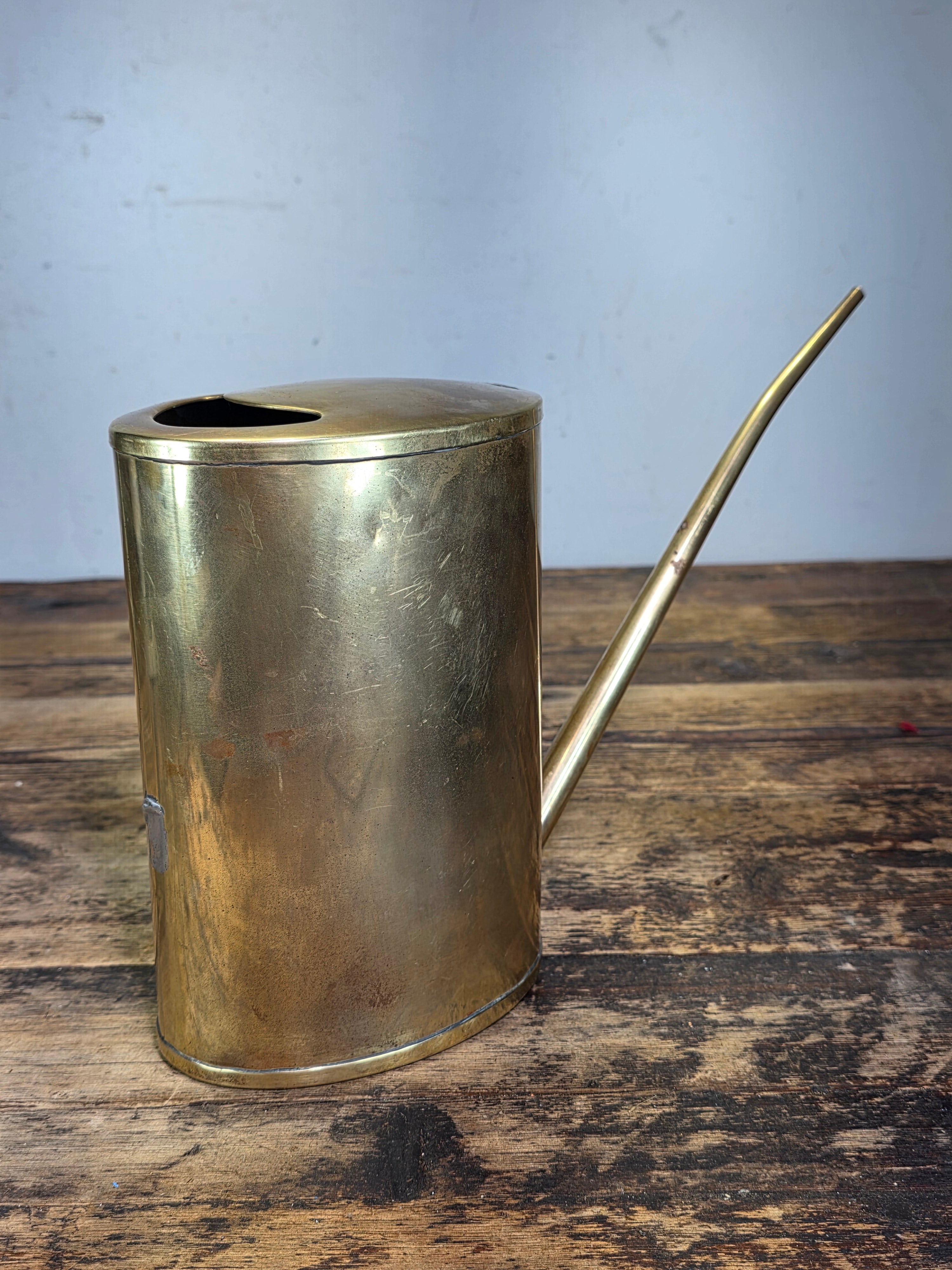 Vintage Brass Oiler Long Spout Indoor Watering Can Steampunk Planter No Handle