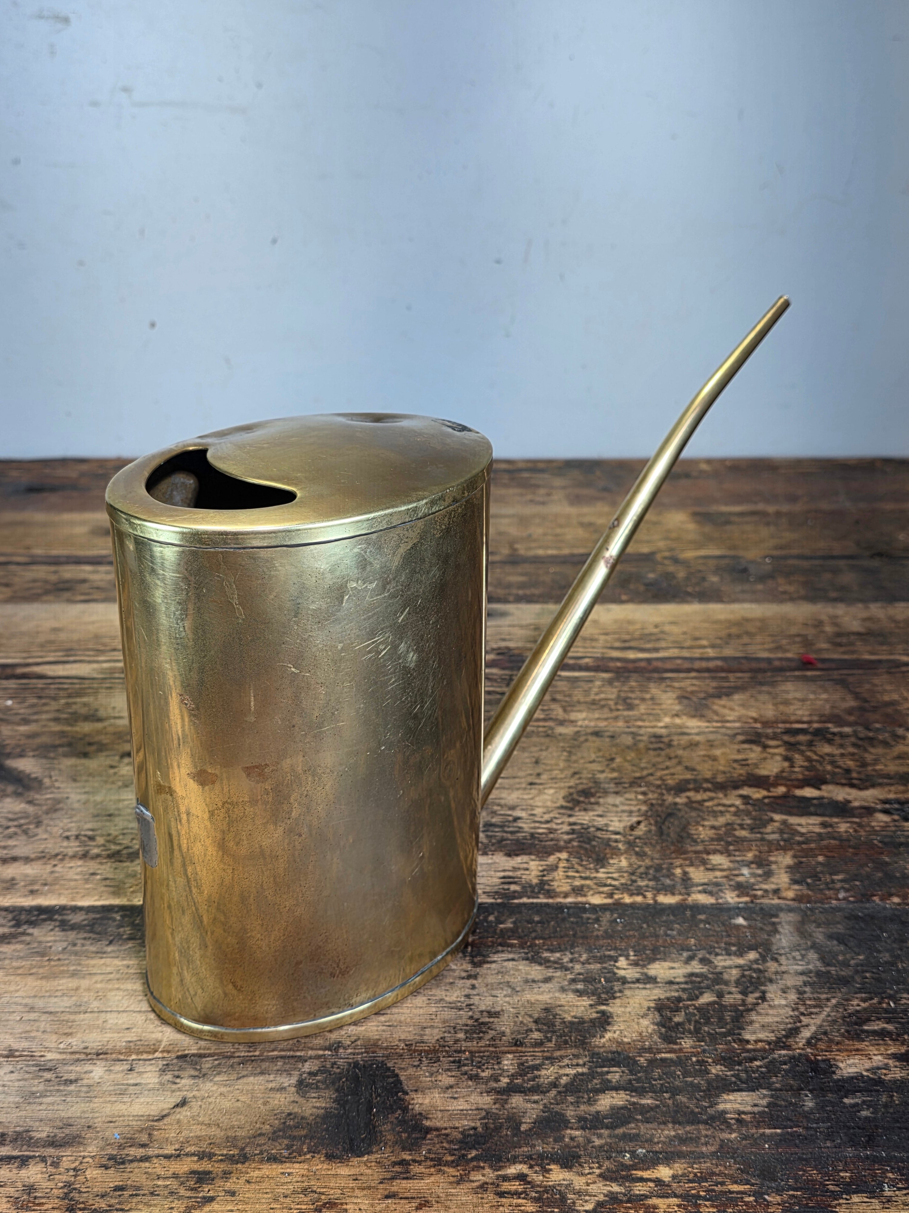 Vintage Brass Oiler Long Spout Indoor Watering Can Steampunk Planter No Handle