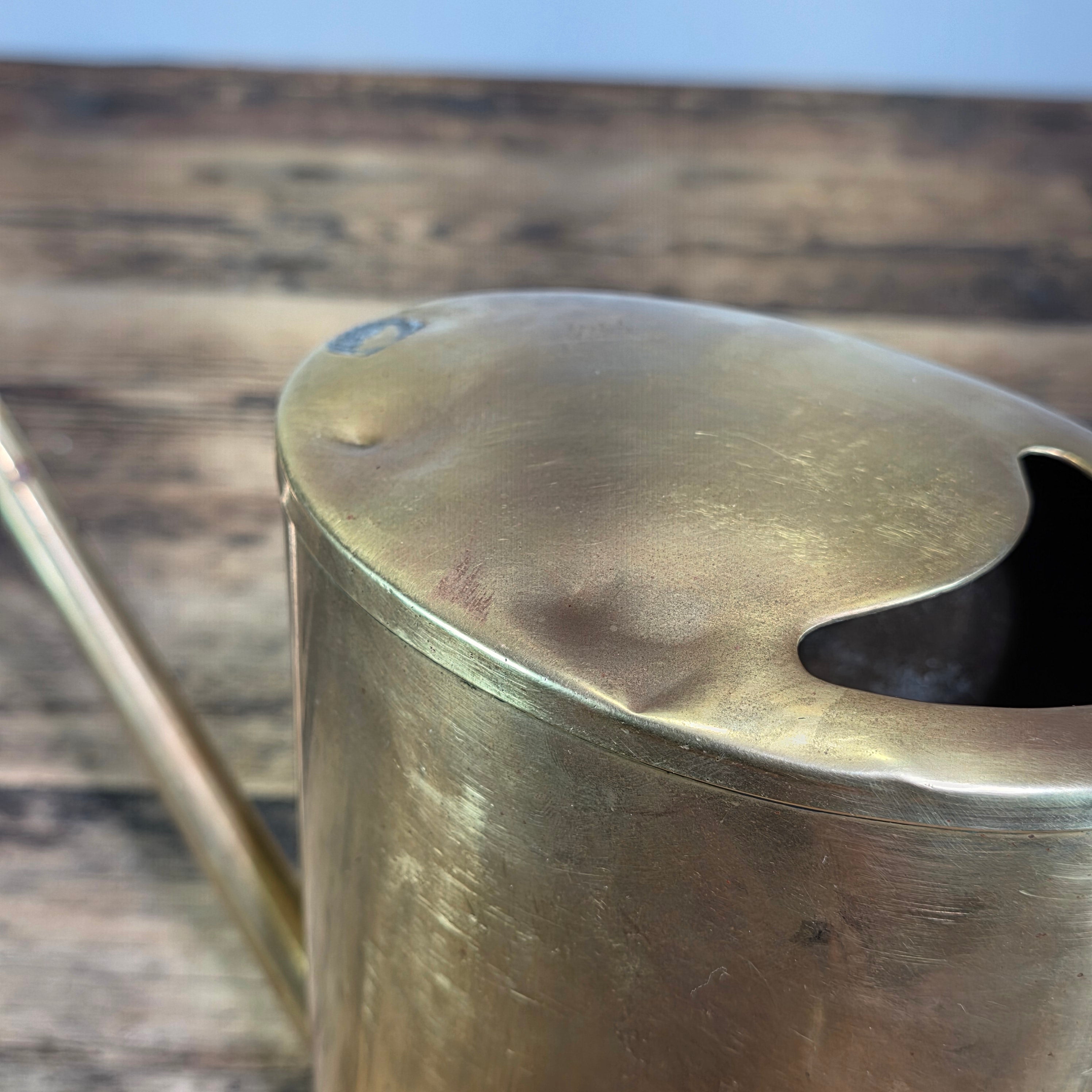 Vintage Brass Oiler Long Spout Indoor Watering Can Steampunk Planter No Handle