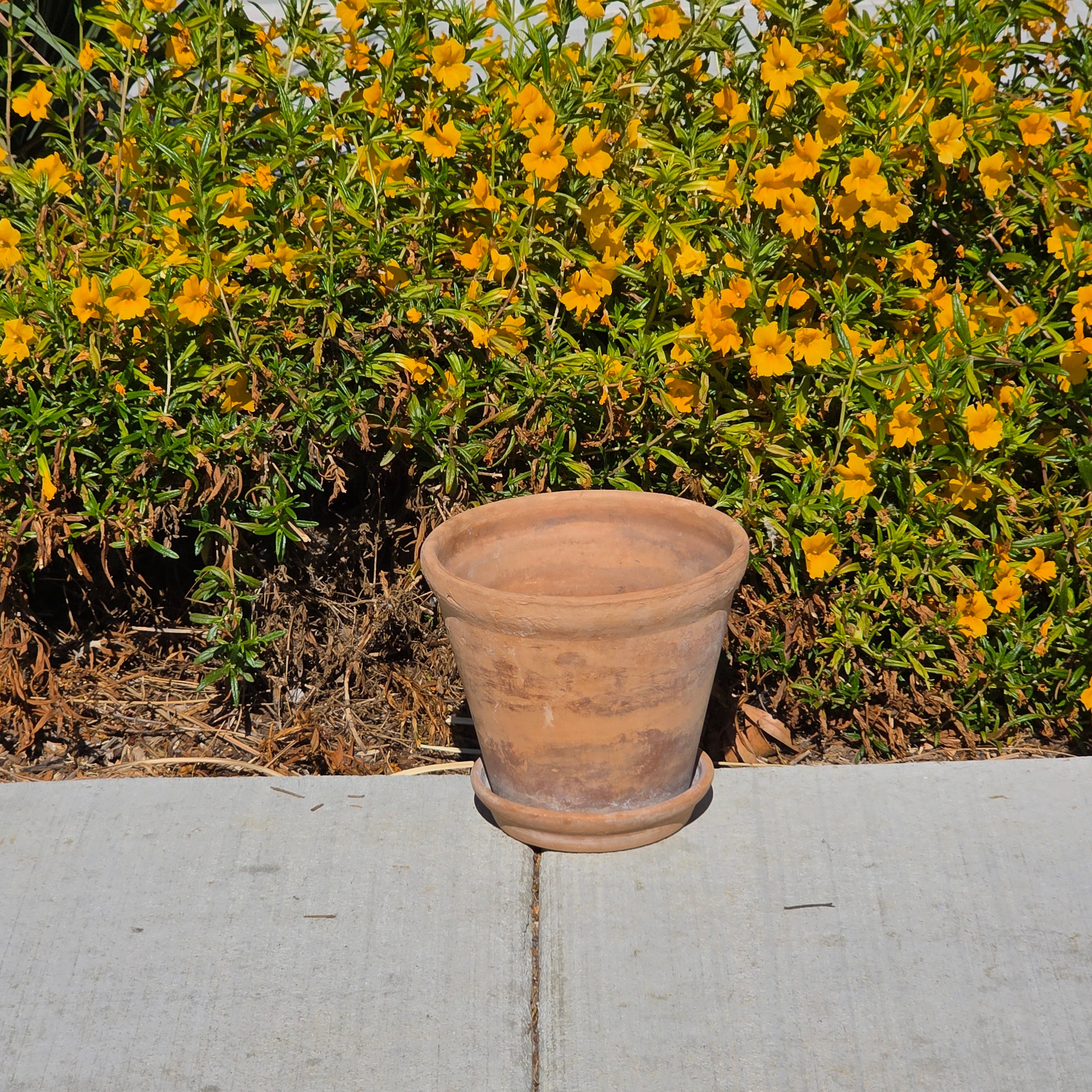 Vintage Terra Cotta Planter Pot & Saucer Weathered Garden Succulent Round 8.5"