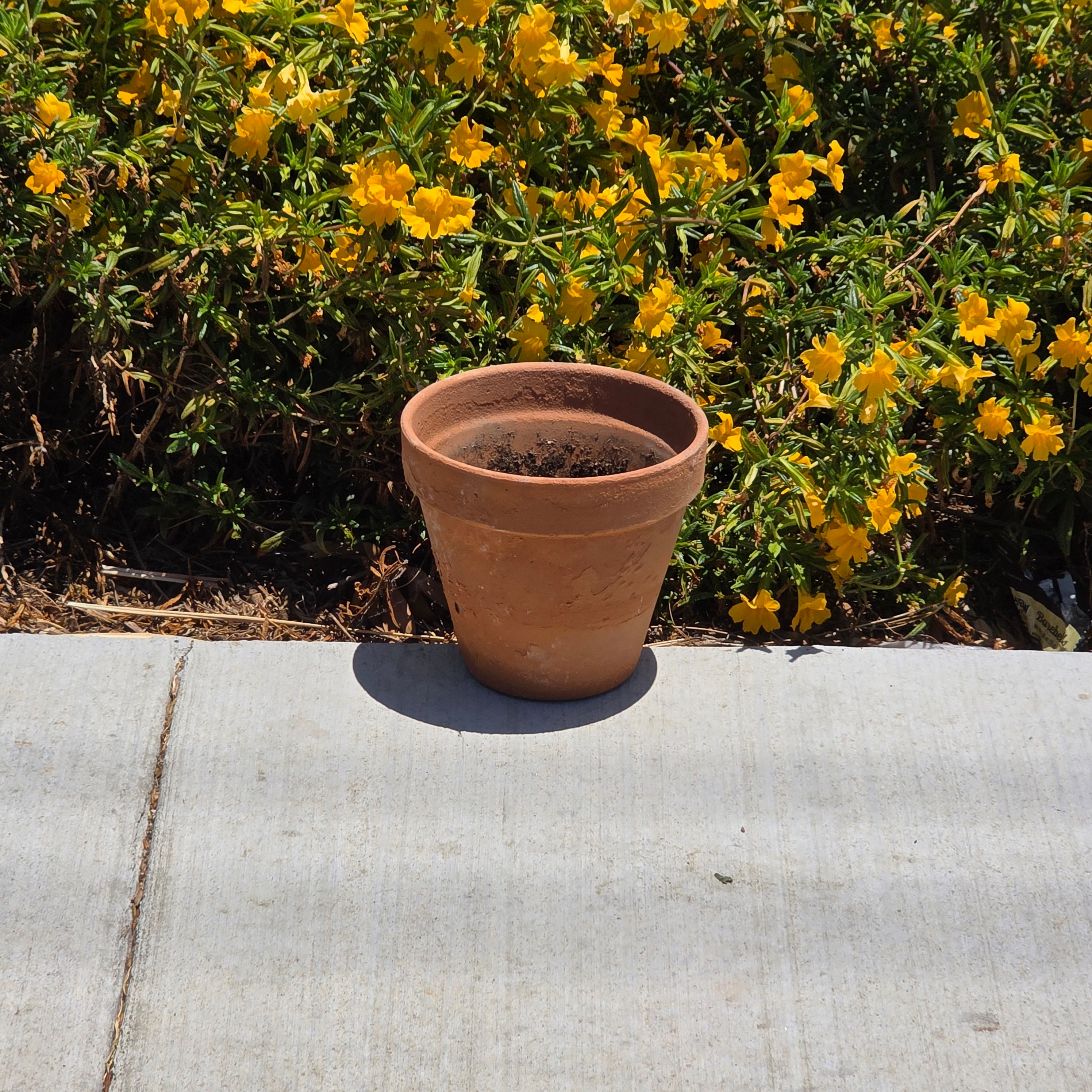 Vintage Vaserie Trevigiane Terracotta Planter Pot Rolled Rim Italy 10.5" Rustic
