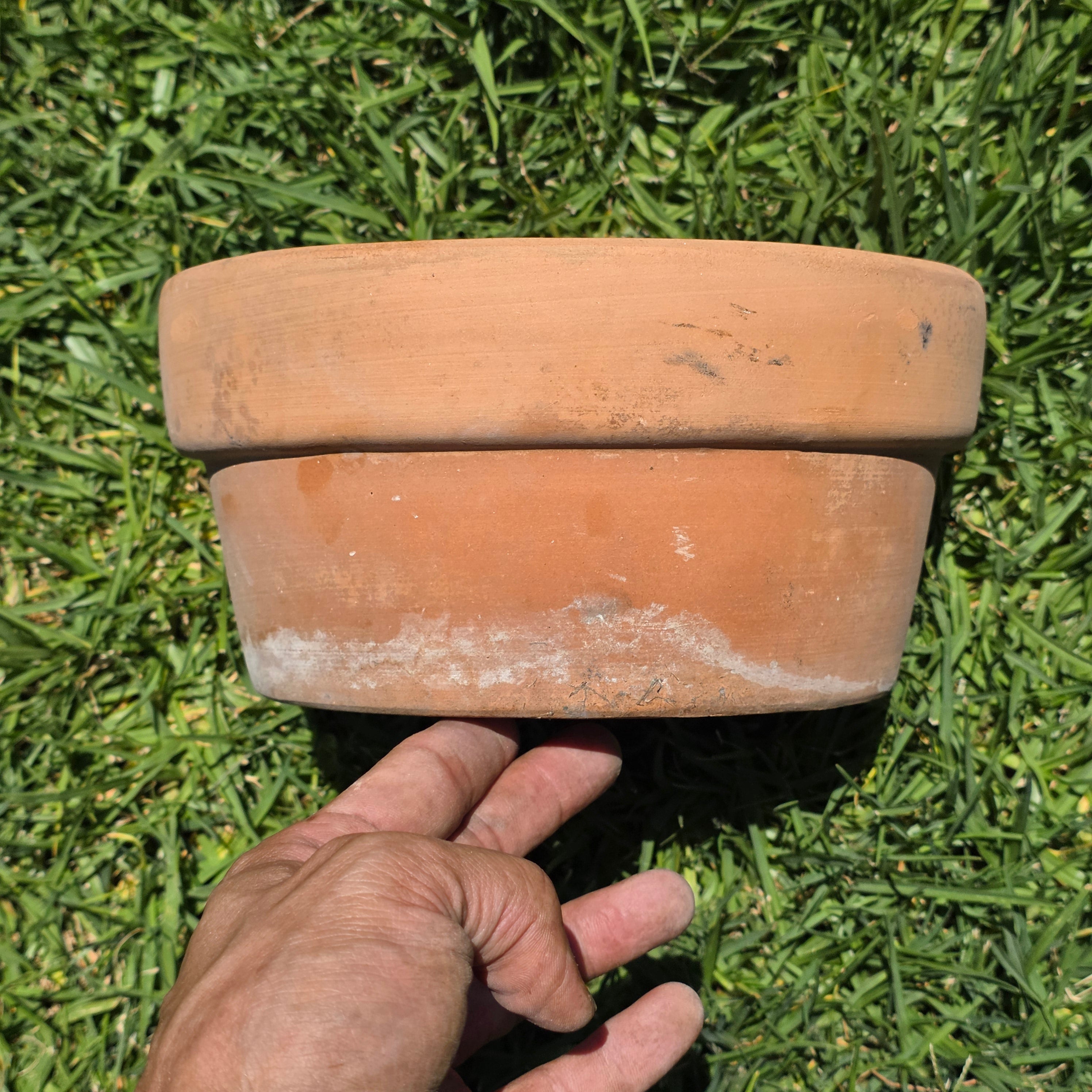 Vintage Terracotta Clay Planter Pot Shallow Bulb Pan Rustic Succulent 8"