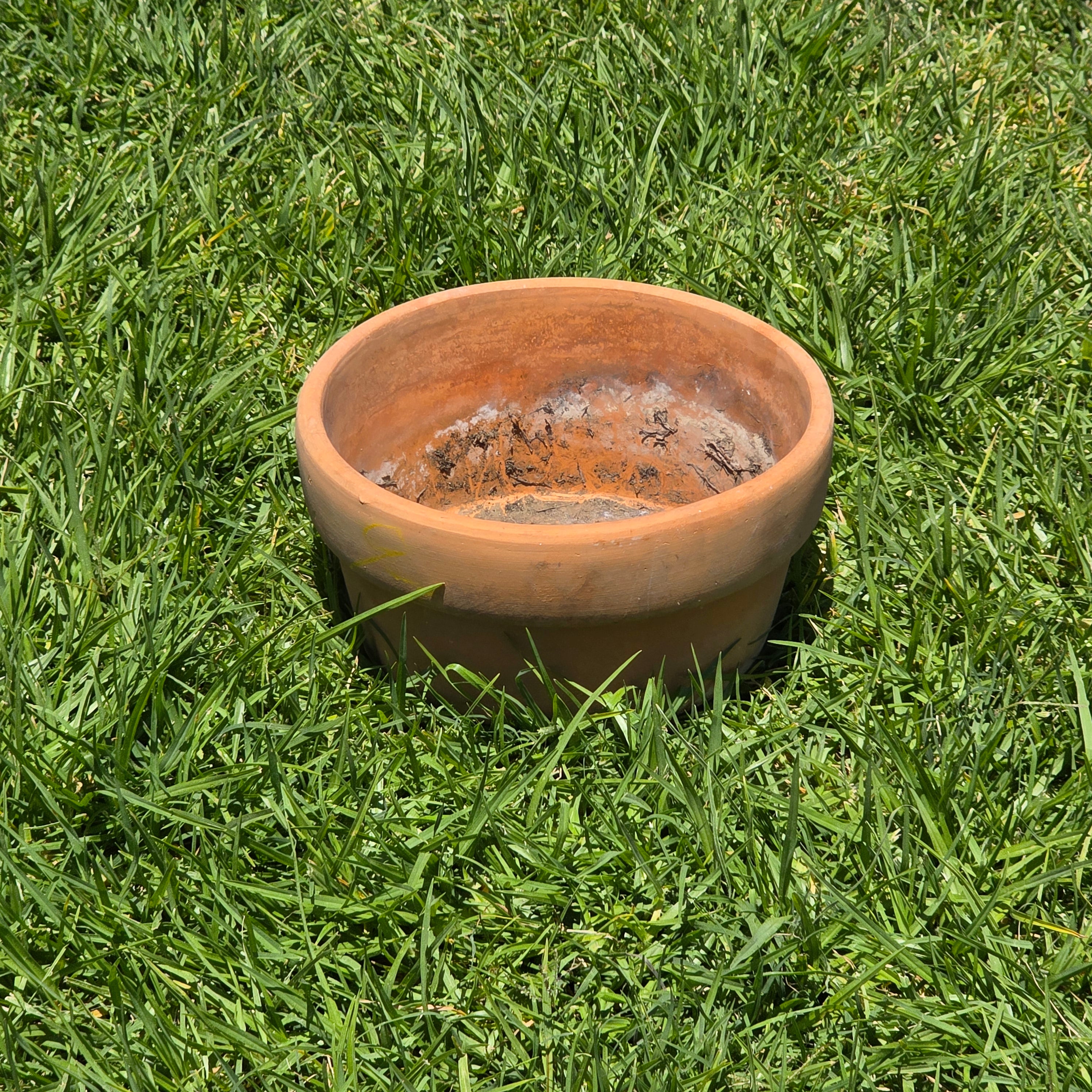 Vintage Terracotta Clay Planter Pot Shallow Bulb Pan Rustic Succulent 8"