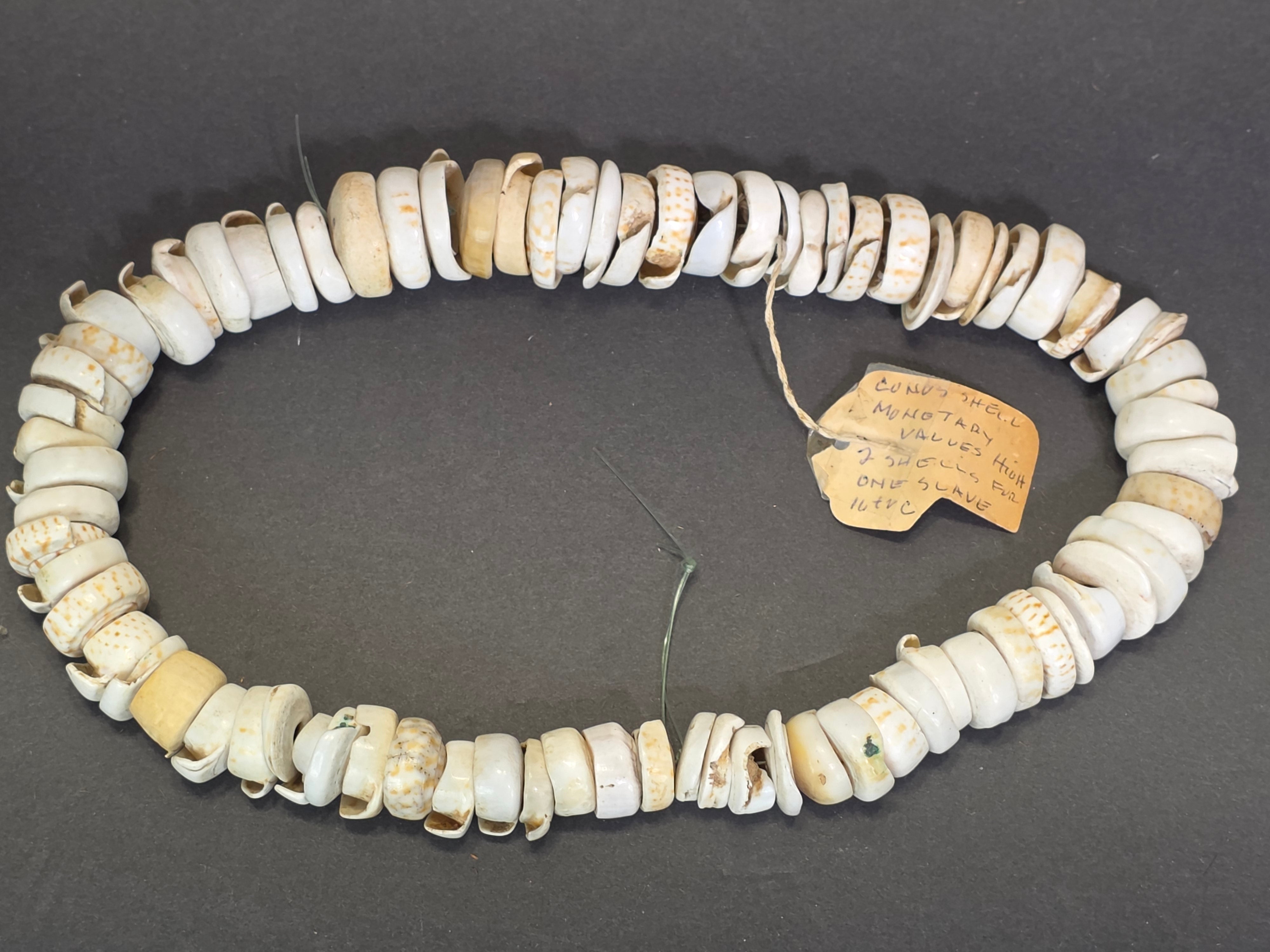 Antique 1880s-1920s Papua New Guinea Shell Currency Necklace Lot Kula Conus Naga