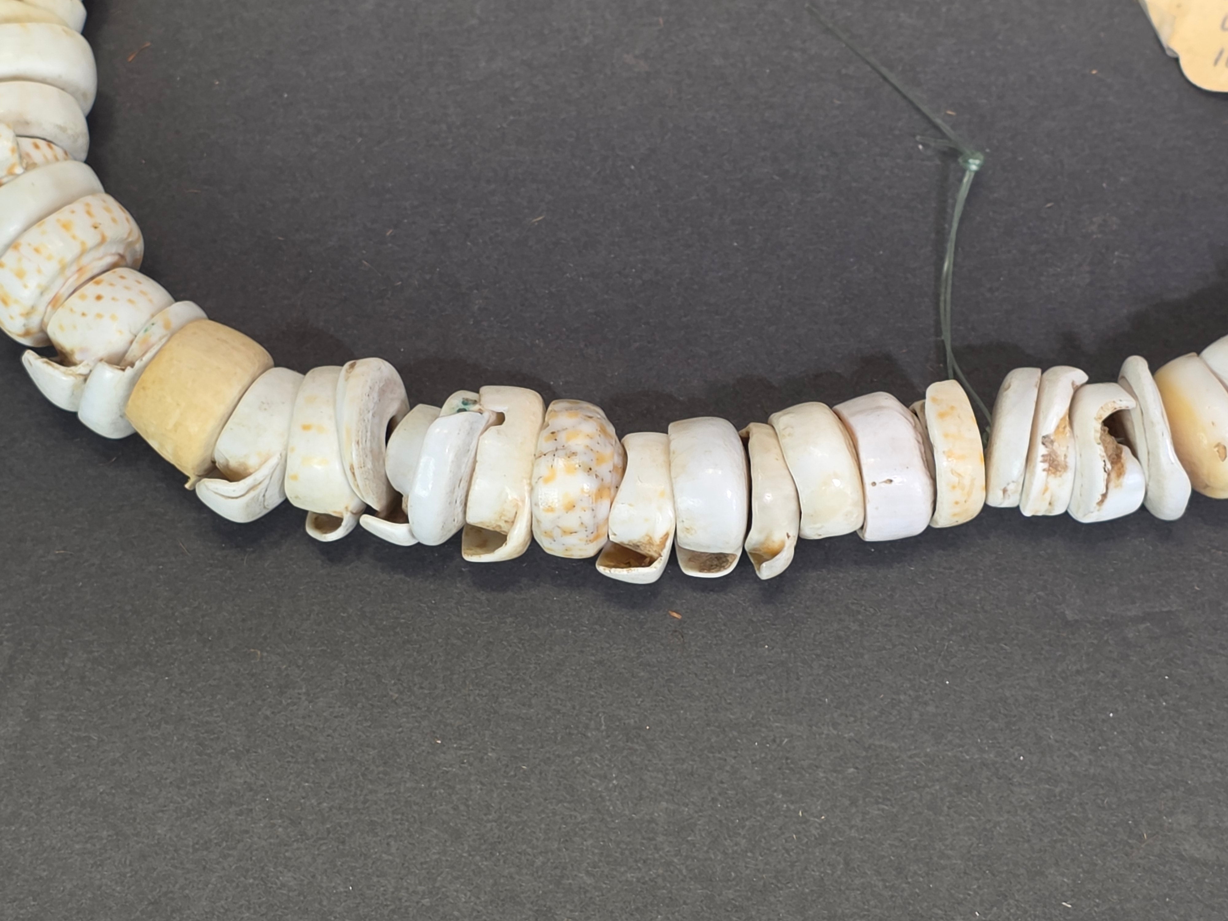 Antique 1880s-1920s Papua New Guinea Shell Currency Necklace Lot Kula Conus Naga