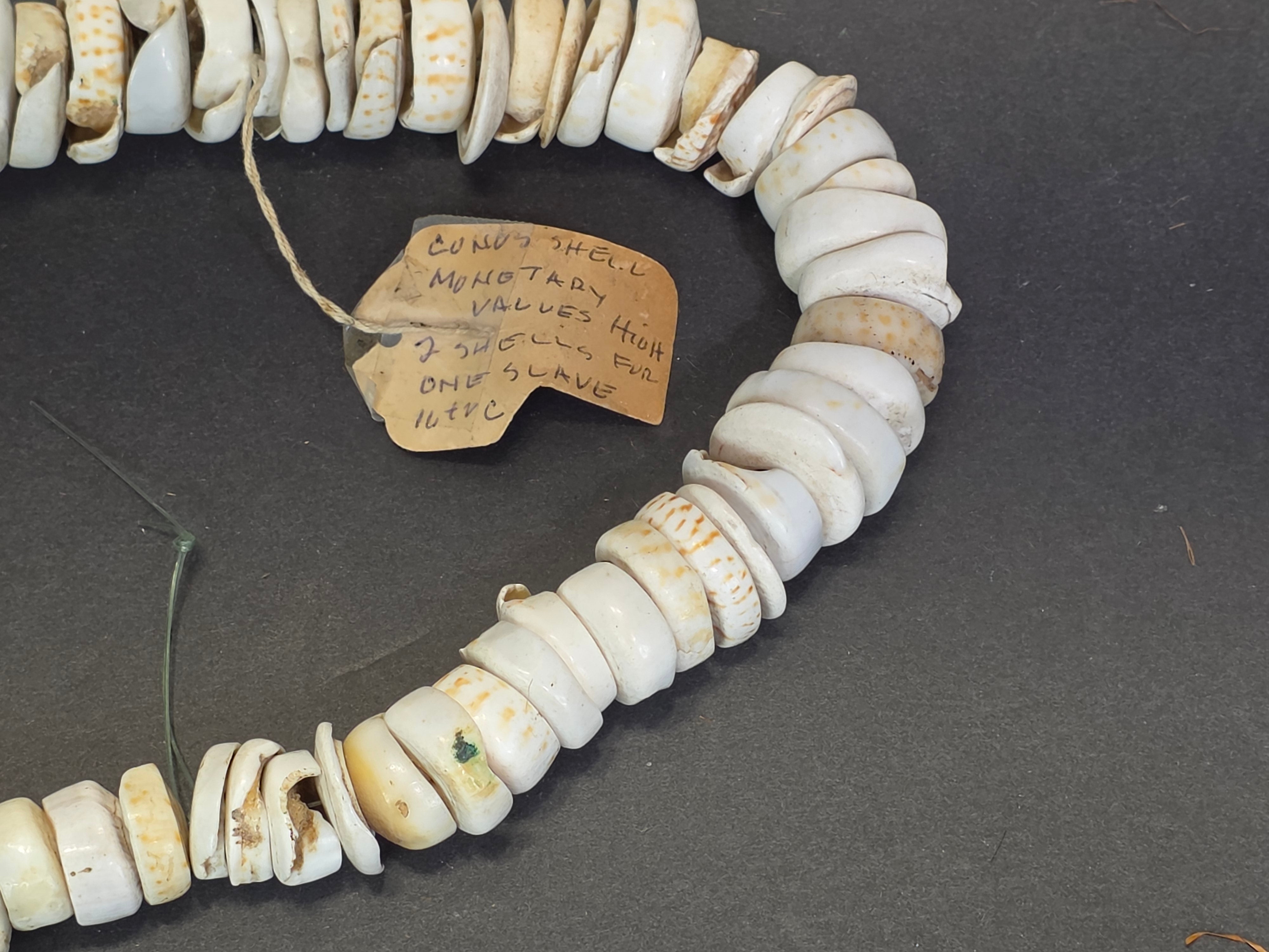Antique 1880s-1920s Papua New Guinea Shell Currency Necklace Lot Kula Conus Naga