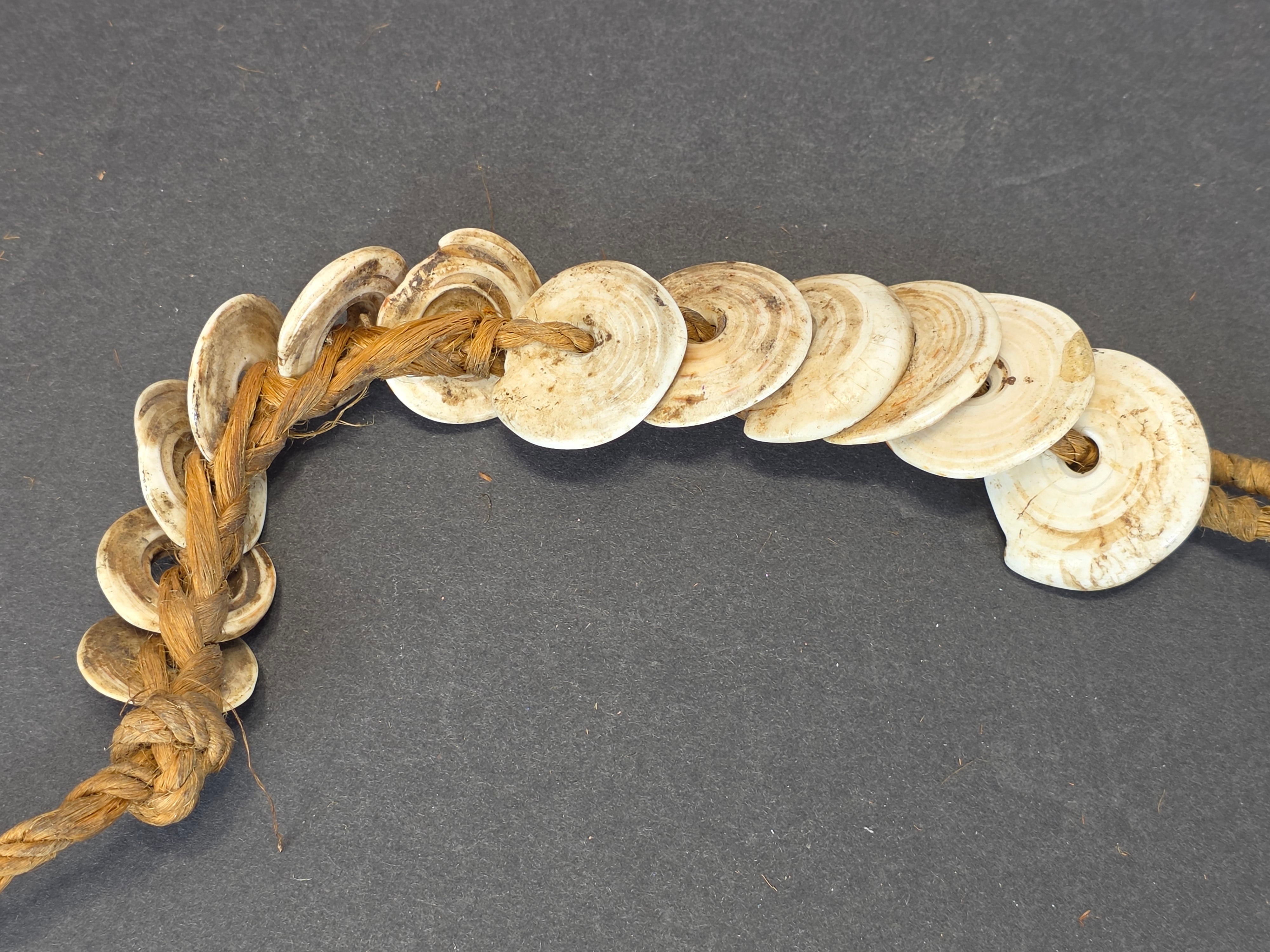 Antique 1880s-1920s Papua New Guinea Shell Currency Necklace Lot Kula Conus Naga