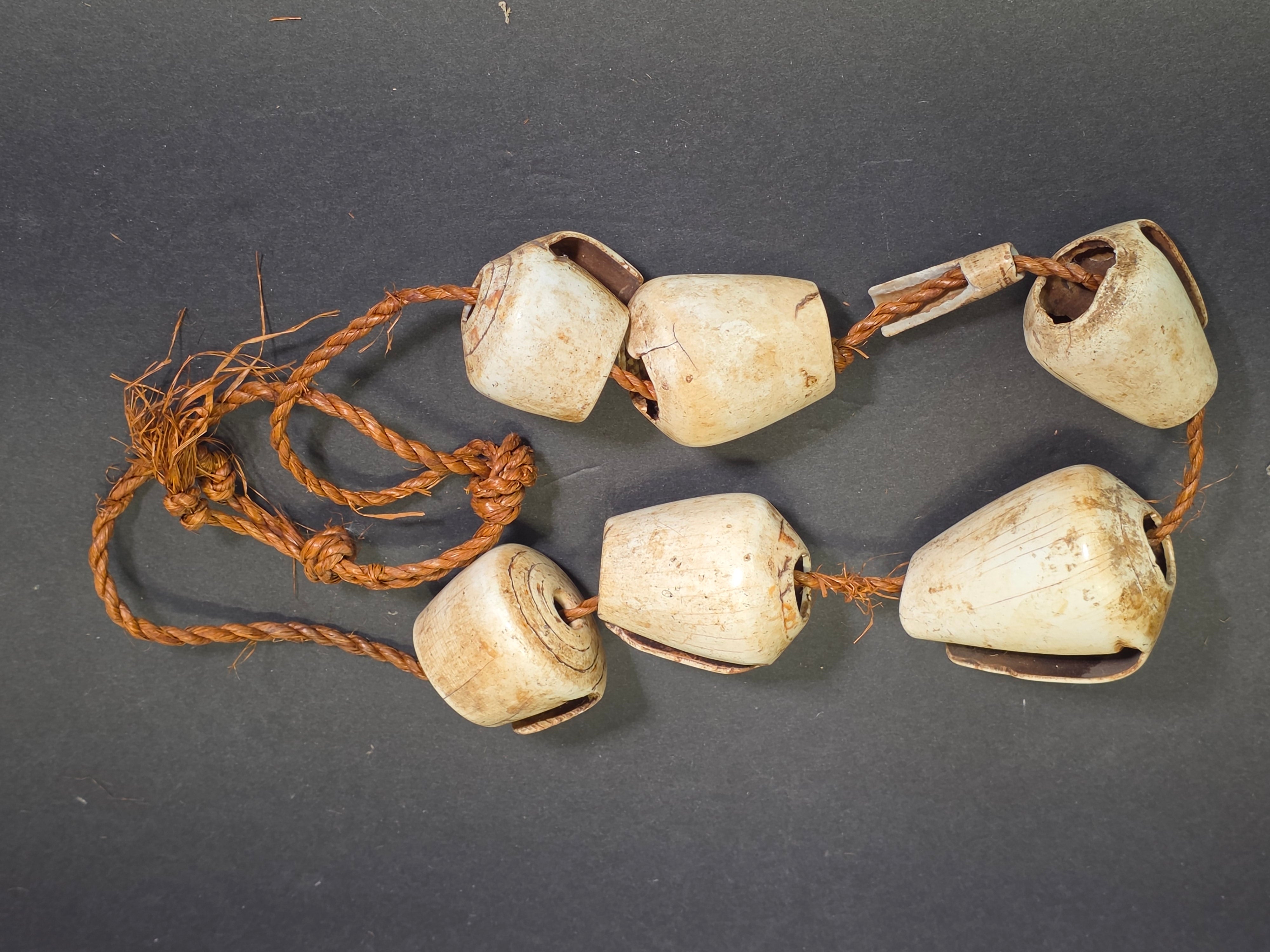 Antique 1880s-1920s Papua New Guinea Shell Currency Necklace Lot Kula Conus Naga