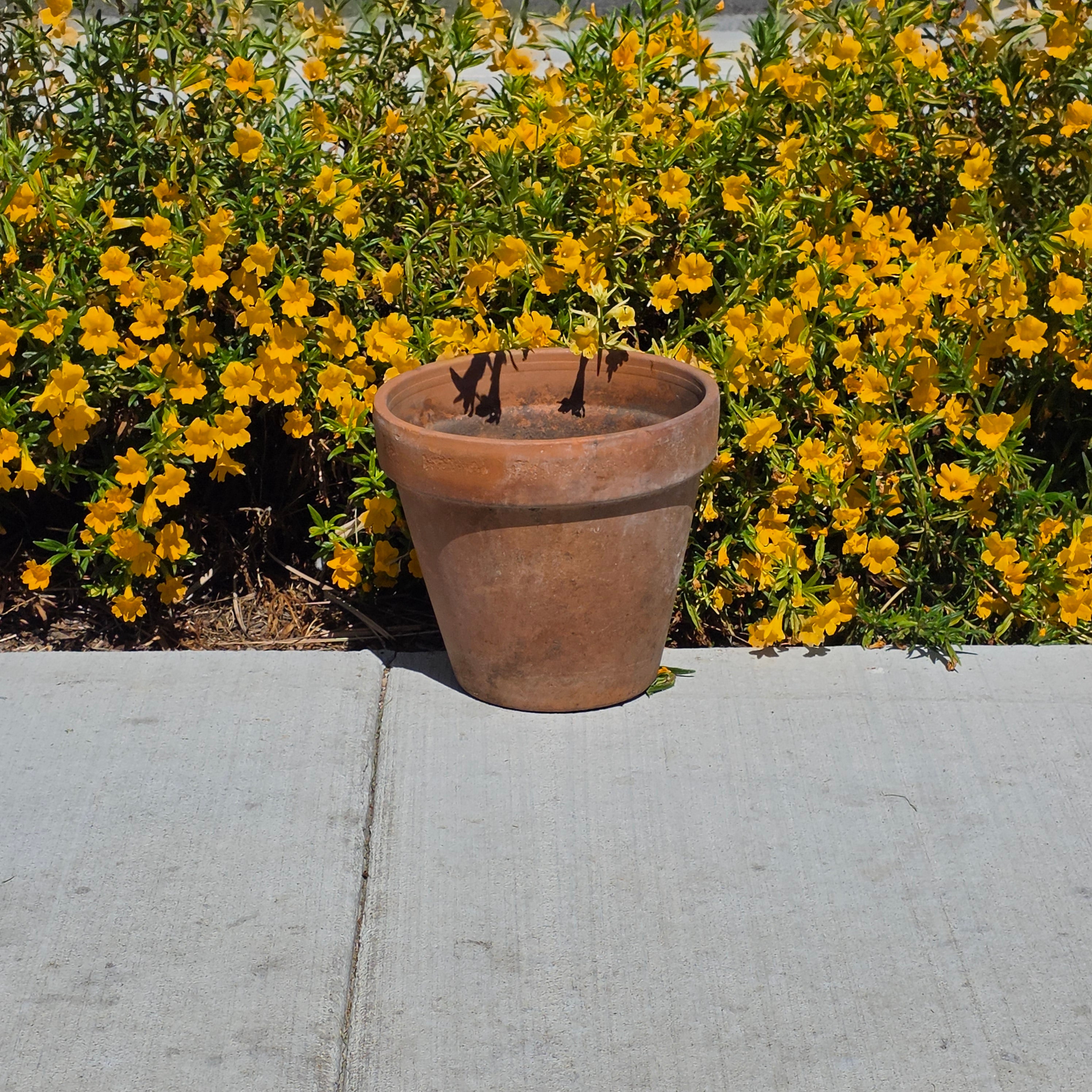 Vintage Italian Terracotta Plant Pot 10" Standard Clay Planter Garden Patina