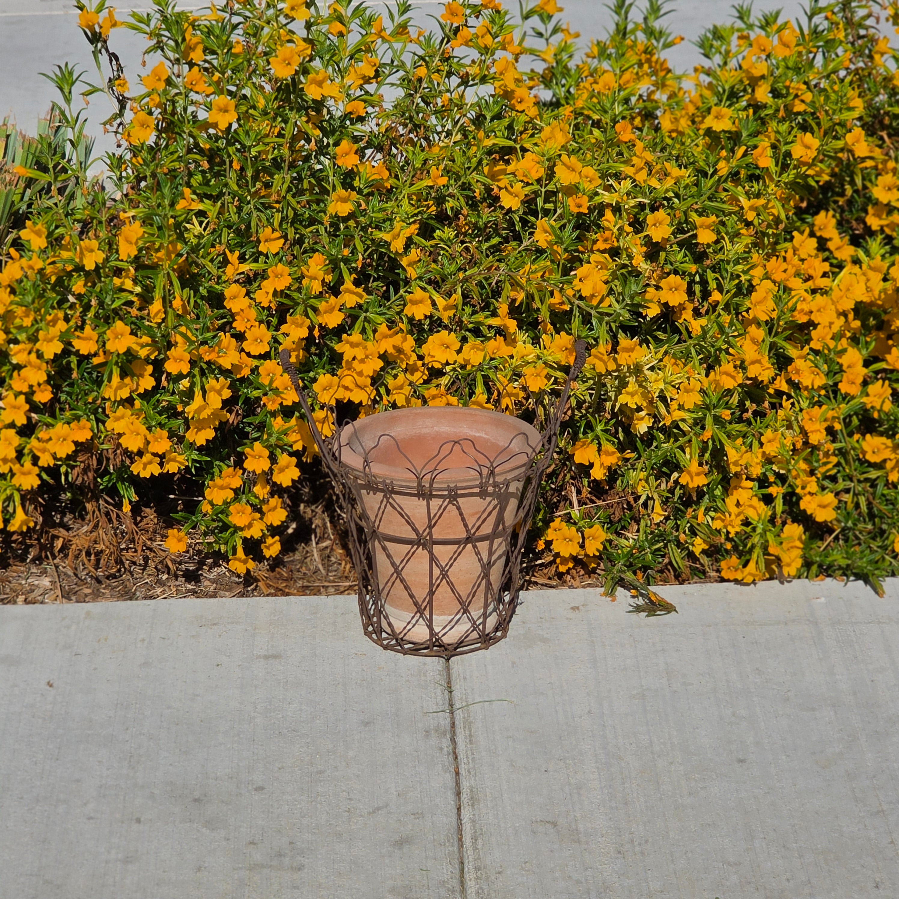 Vintage DI-MA Impruneta Italian Terracotta Planter Pot Wire Basket Tuscan Italy