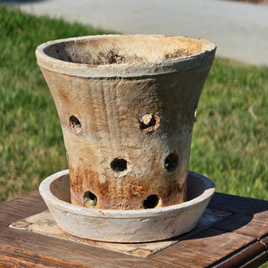 HomArt Rustic Terracotta Orchid Pot Saucer Slotted Clay Planter Shabby Chic