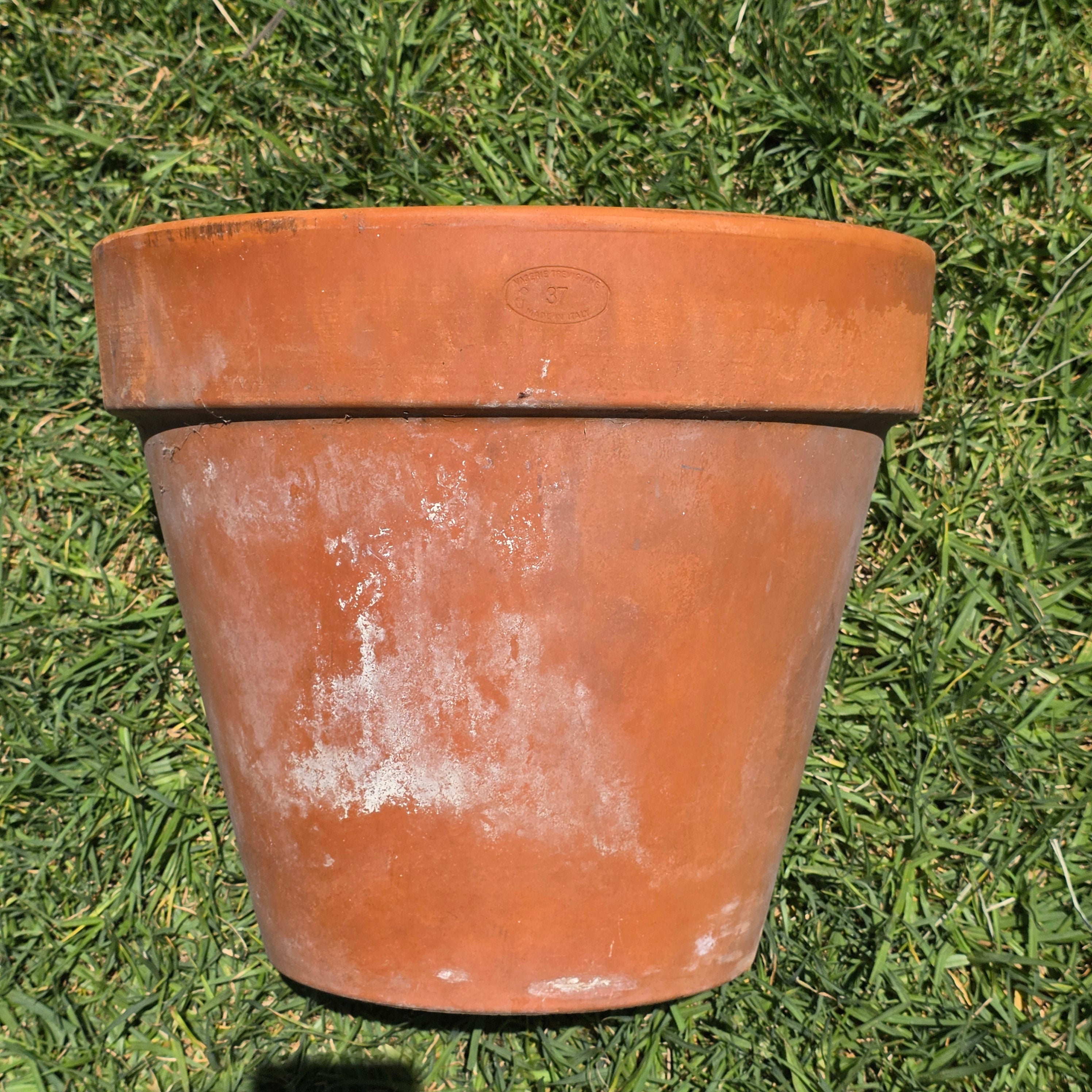 Vintage Italian Vaserie Trevigiane Banded Terracotta Planter Pot 14.5" Garden