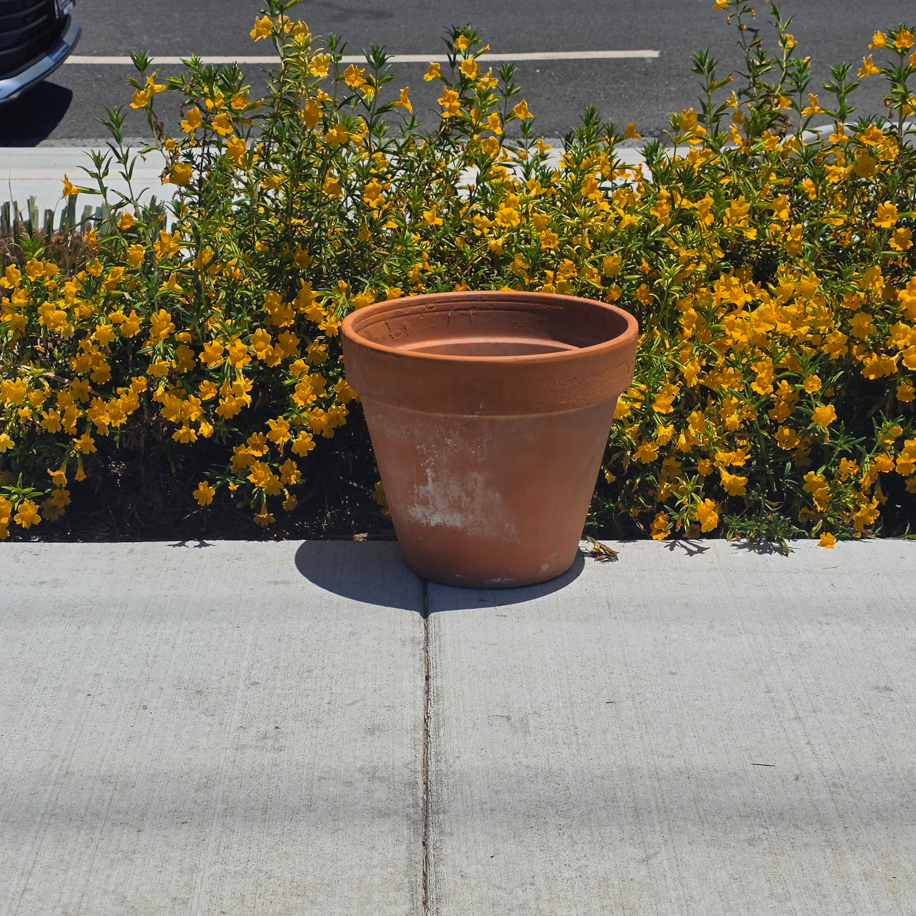 Vintage Italian Vaserie Trevigiane Banded Terracotta Planter Pot 14.5" Garden