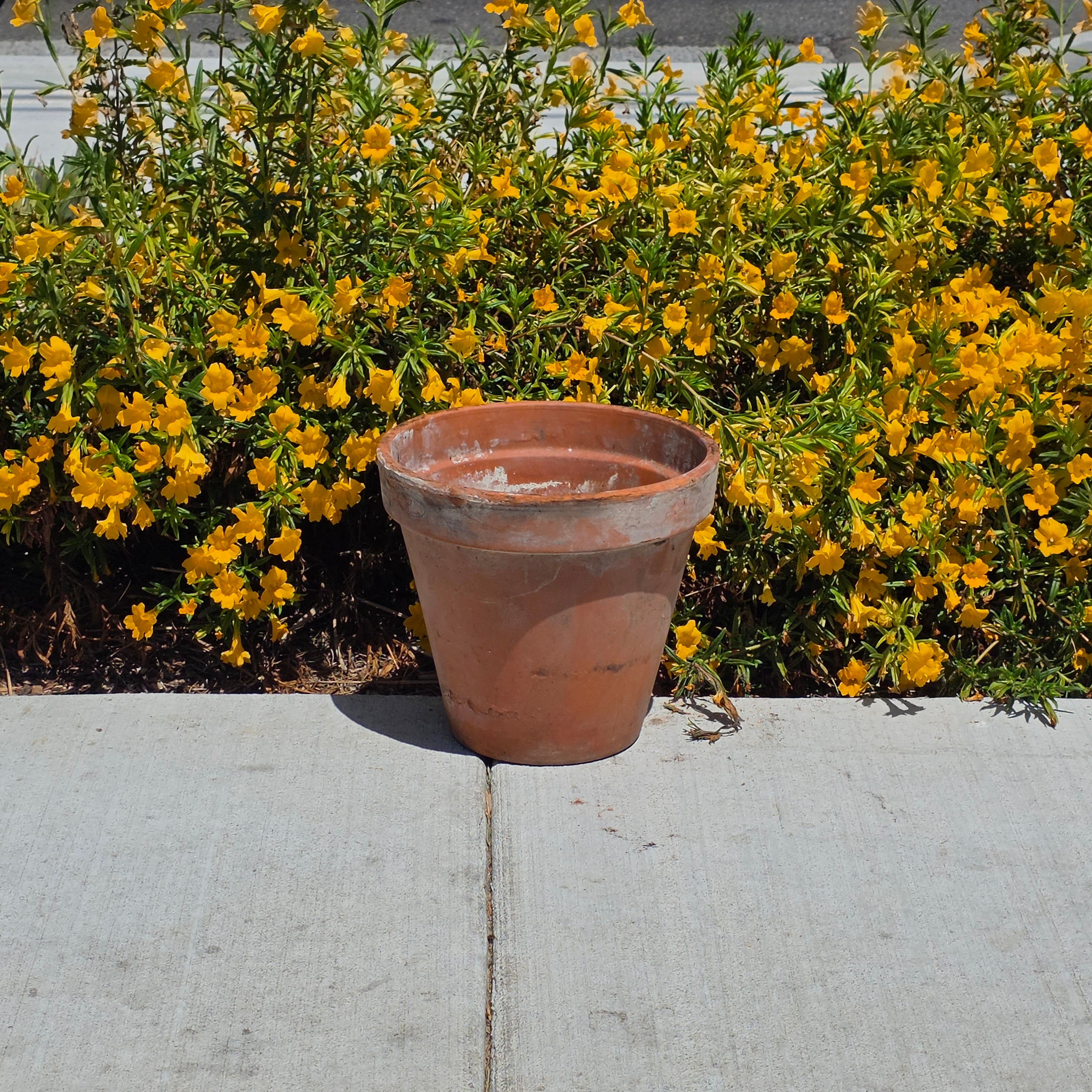 Vintage Vaserie Trevigiane Italy Terracotta Planter Pot Rustic Weathered 11"